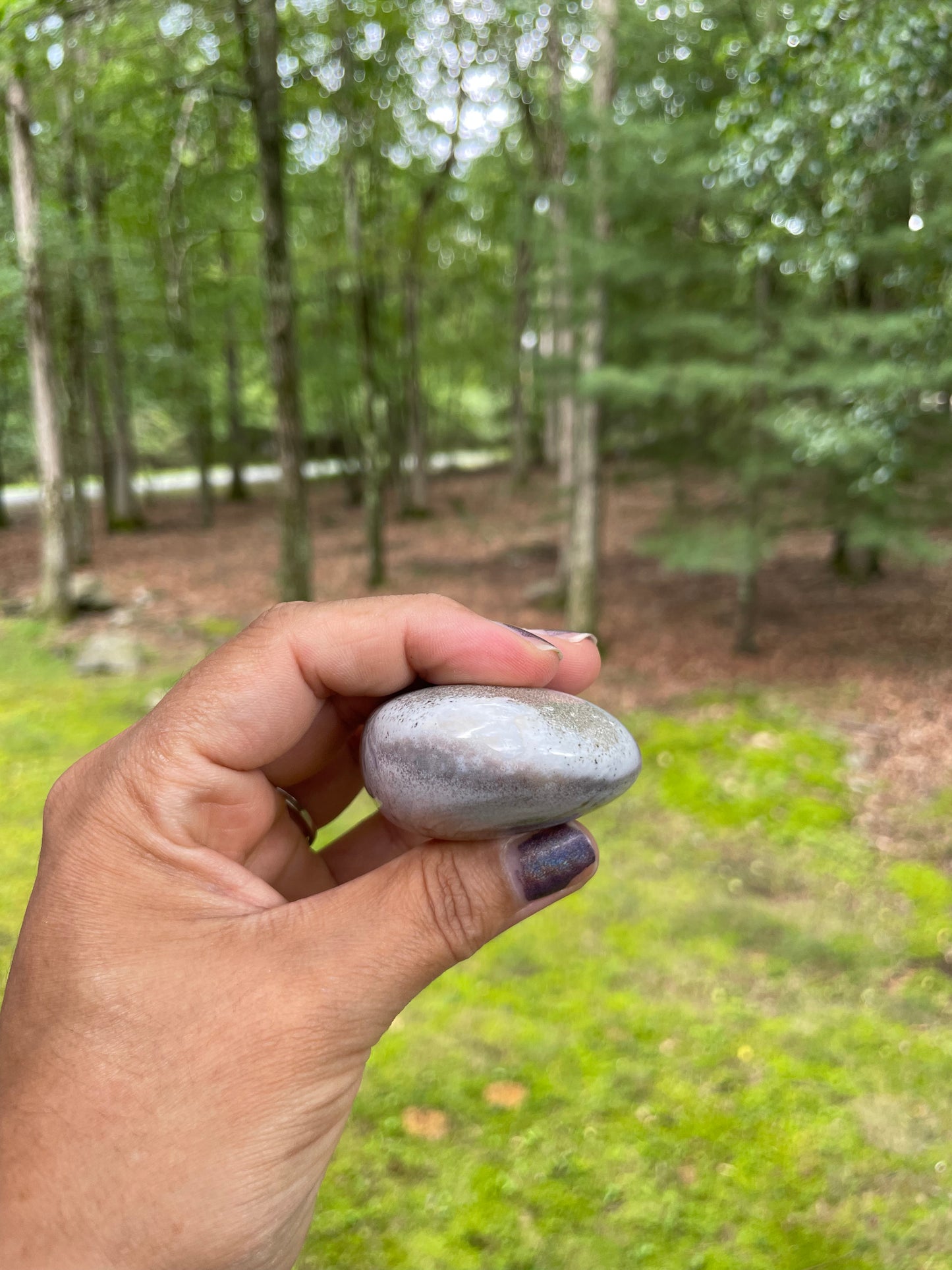 White ocean jasper palm
