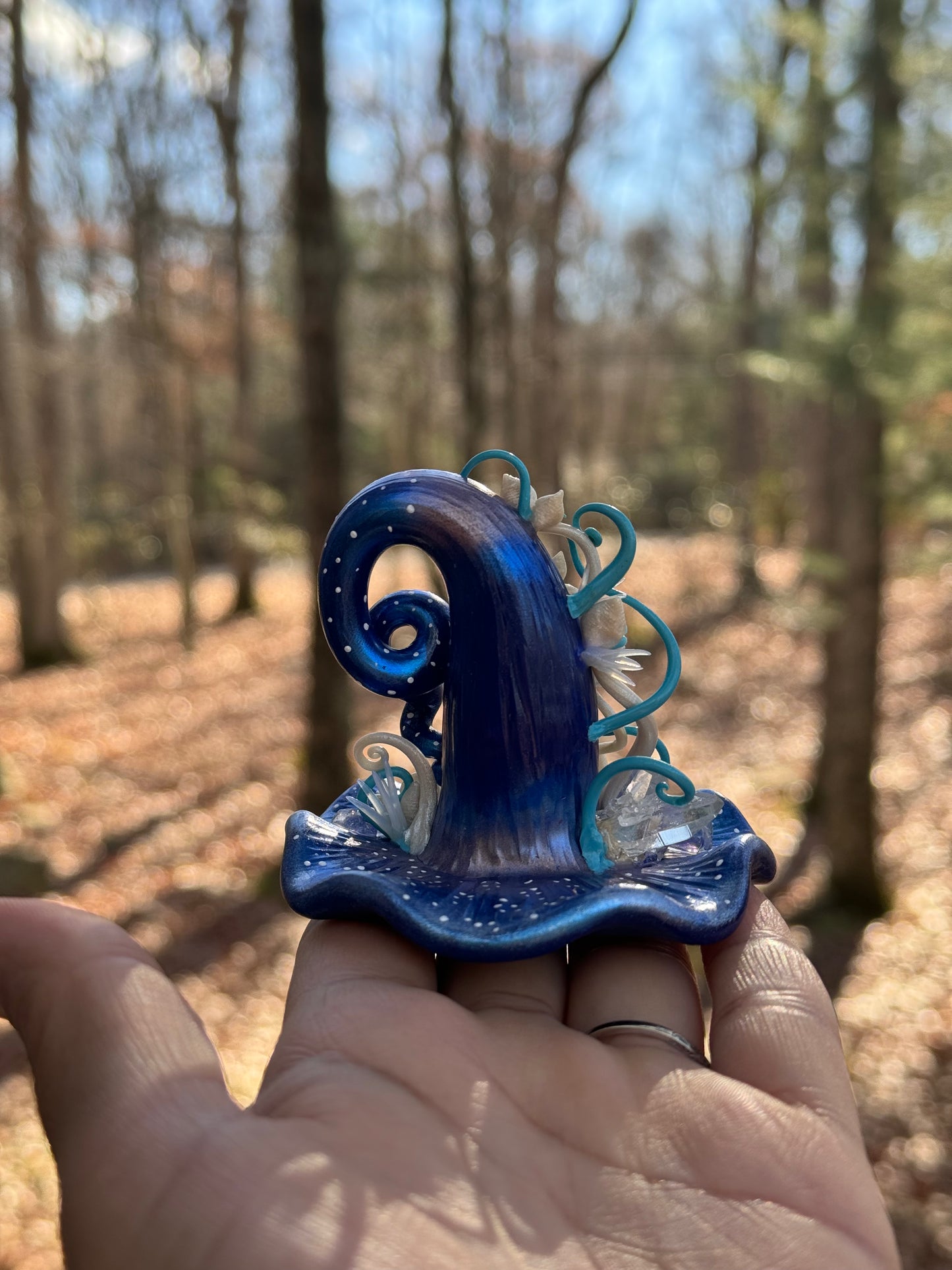 Winter winds witch hat