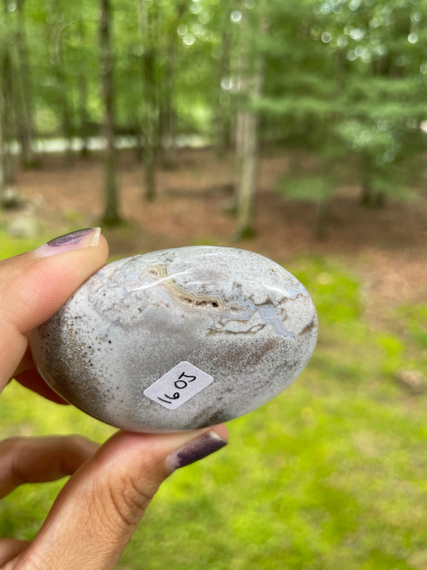 White ocean jasper palm