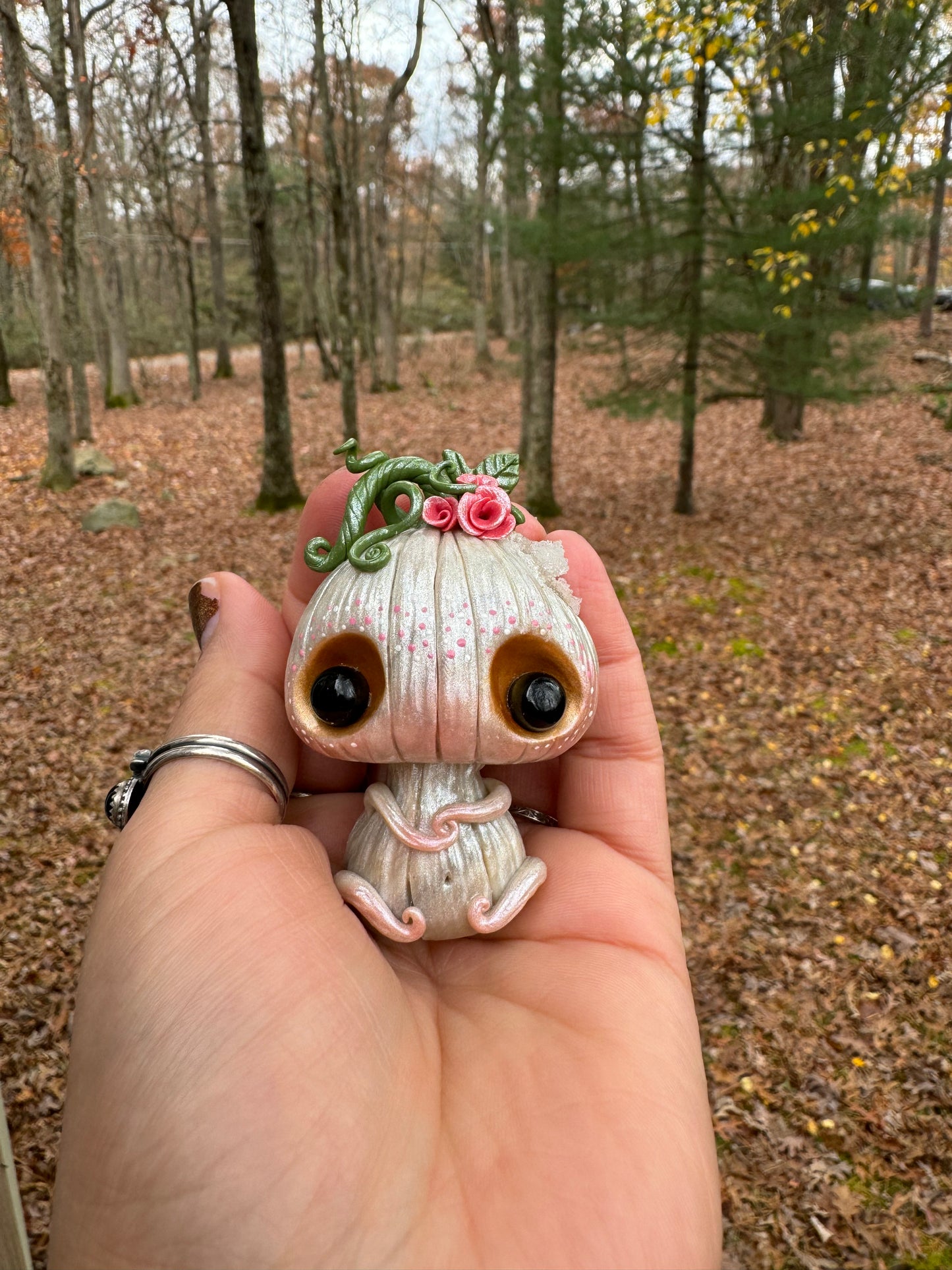 Polly the pumpkin