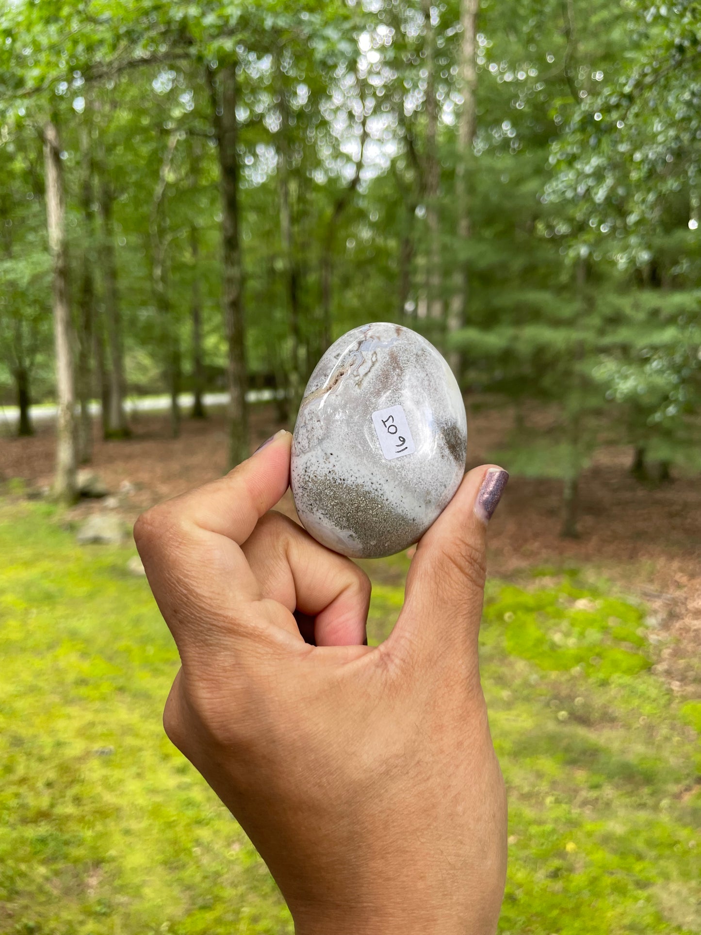 White ocean jasper palm