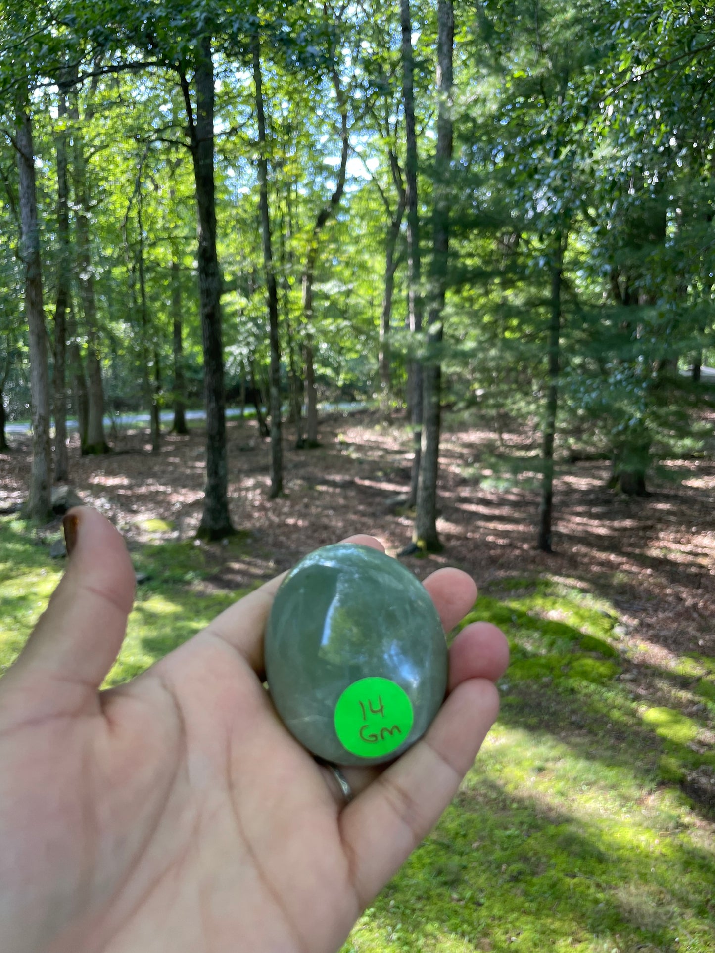 Garnierite palm (green moonstone)
