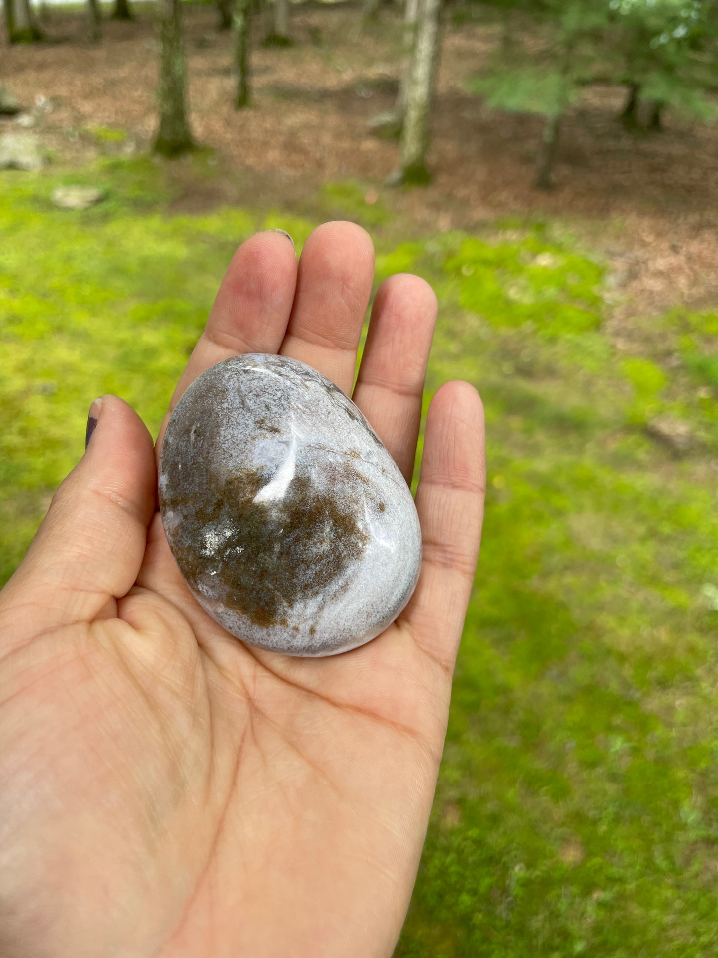 White ocean jasper palm