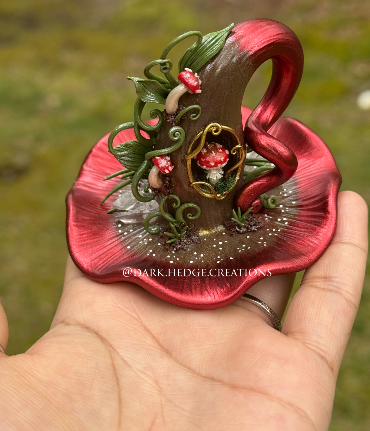 Amanita Nouveau