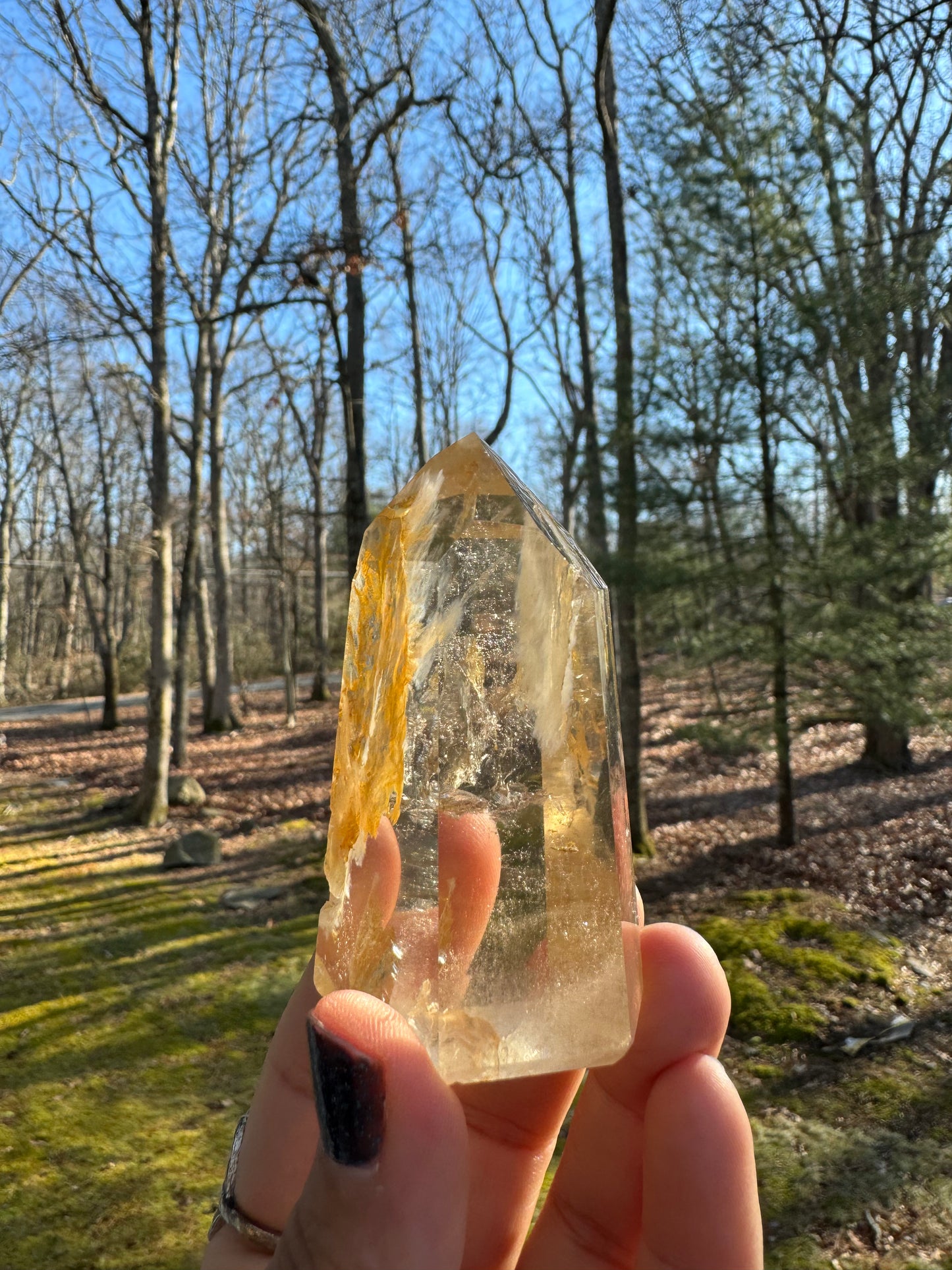 Golden healer point Brazil