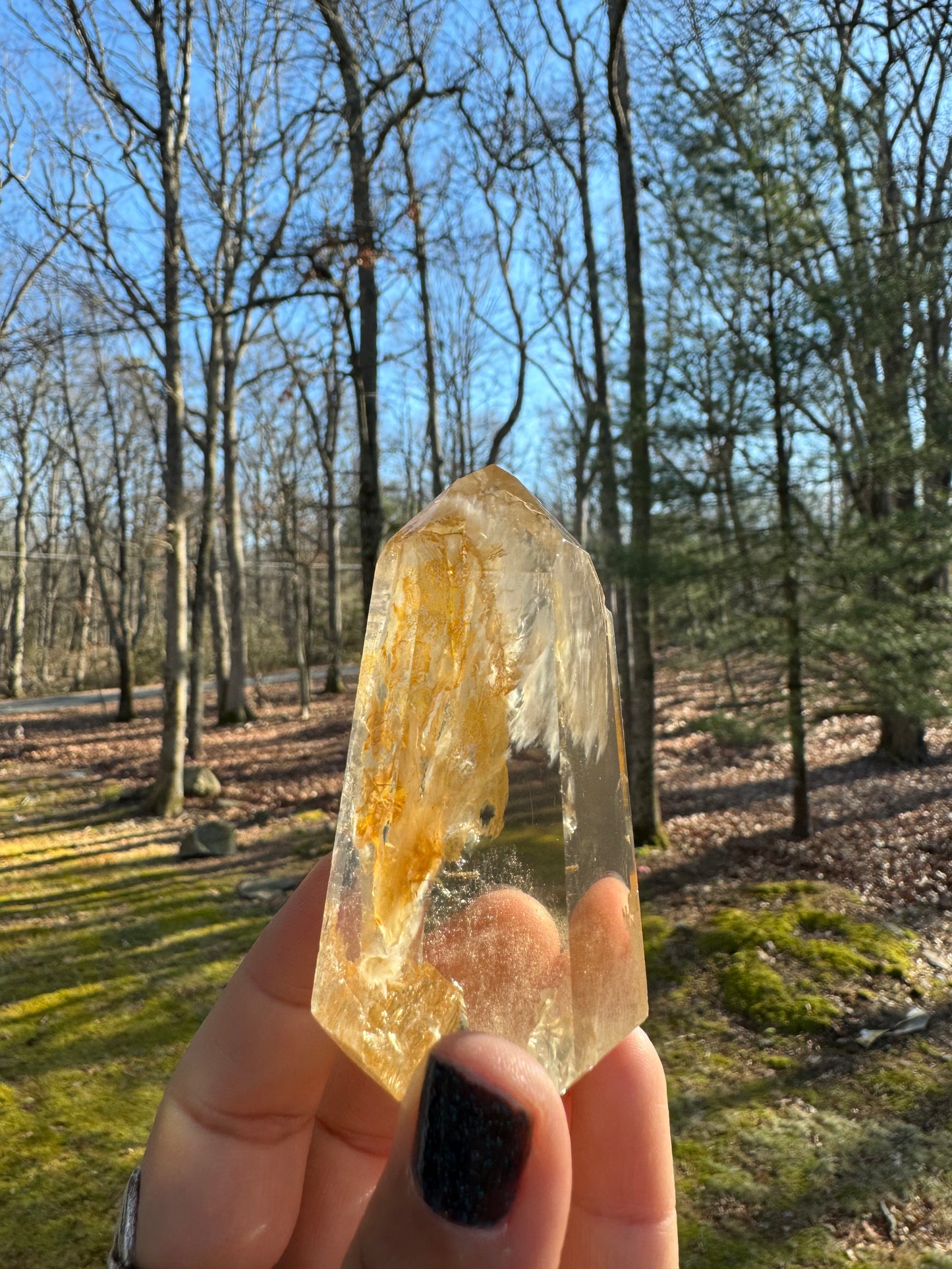 Golden healer point Brazil