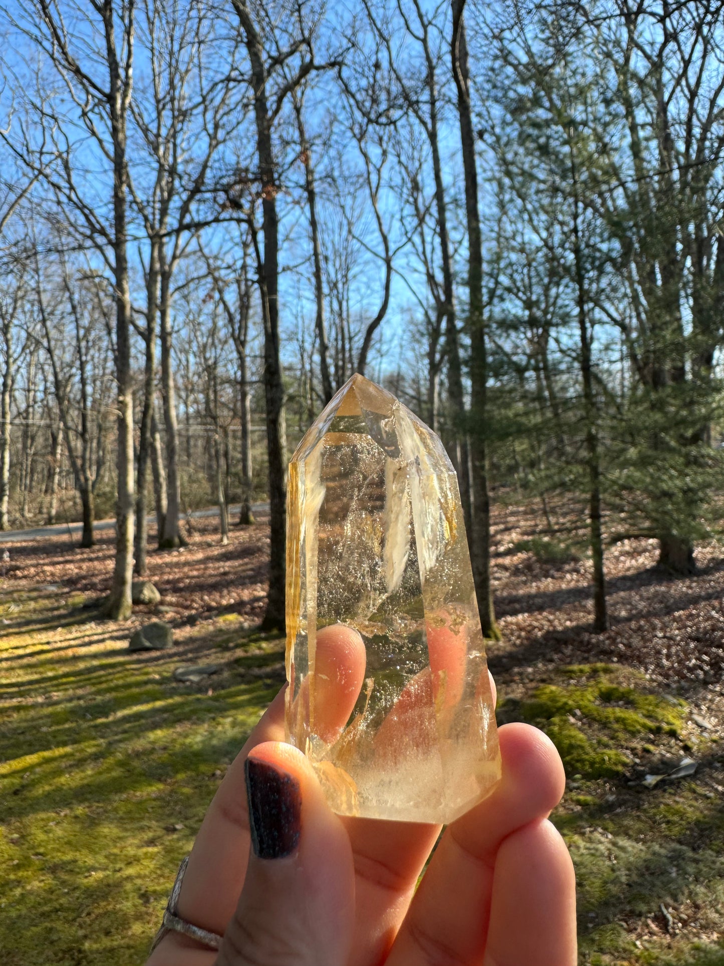 Golden healer point Brazil