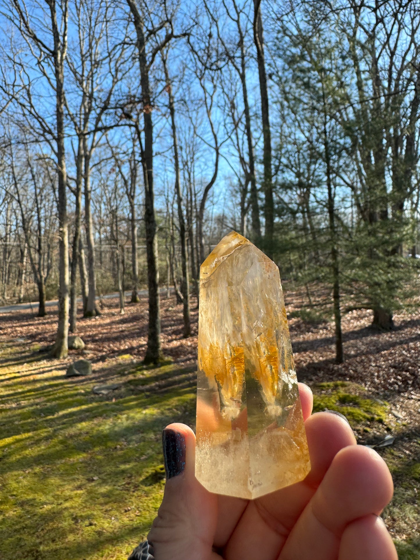 Golden healer point Brazil