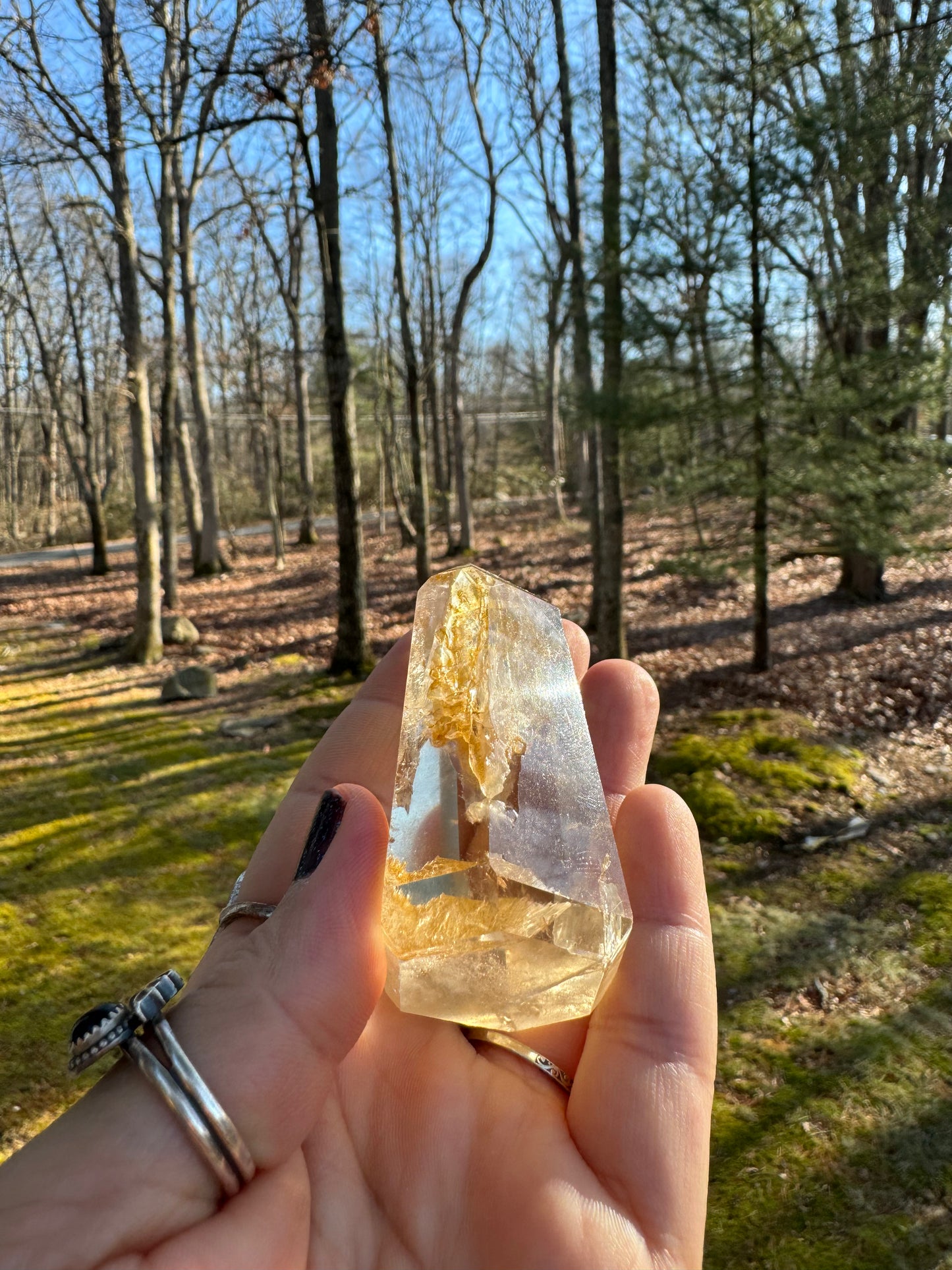Golden healer point Brazil