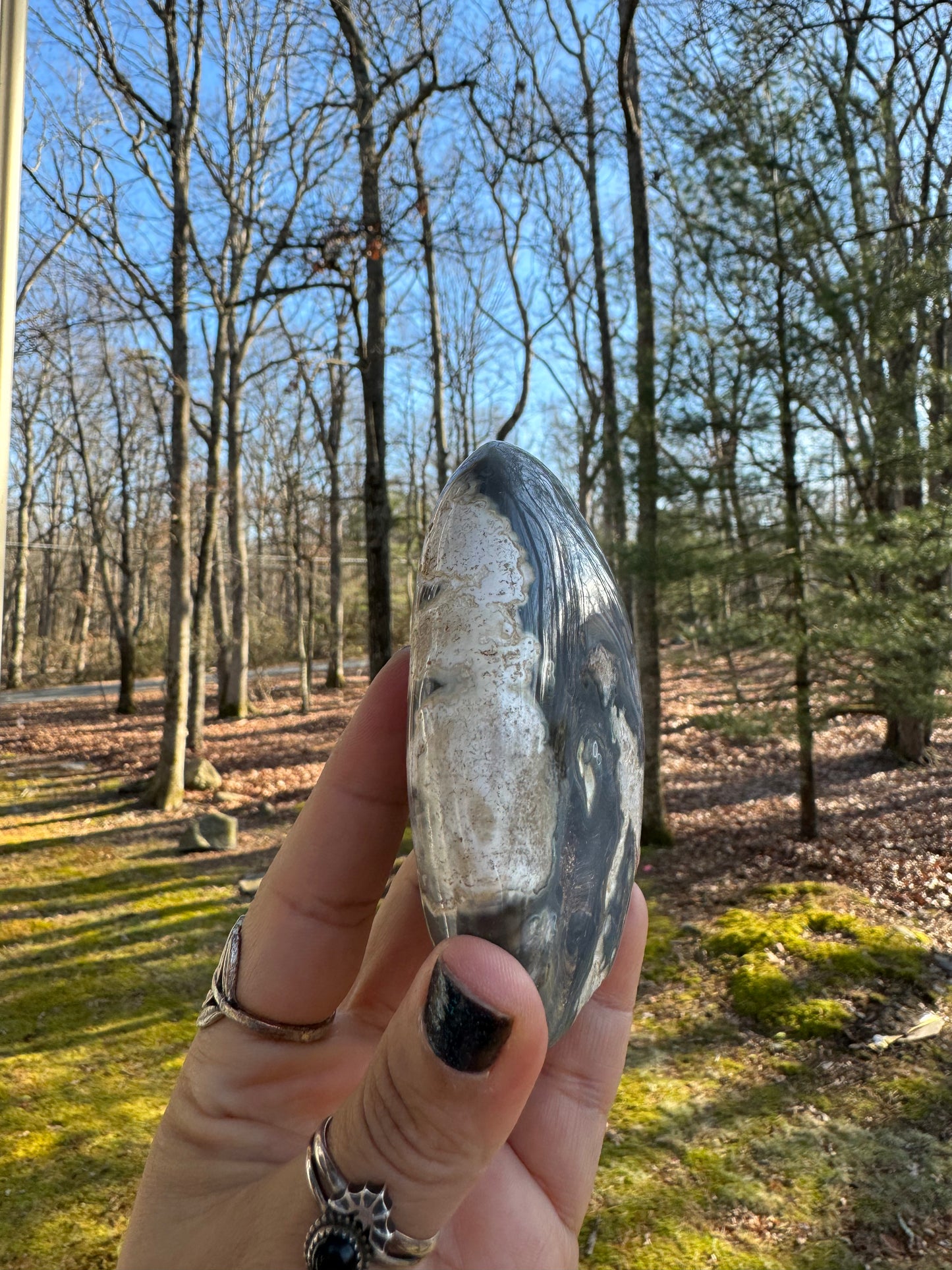 Orca agate Freeform