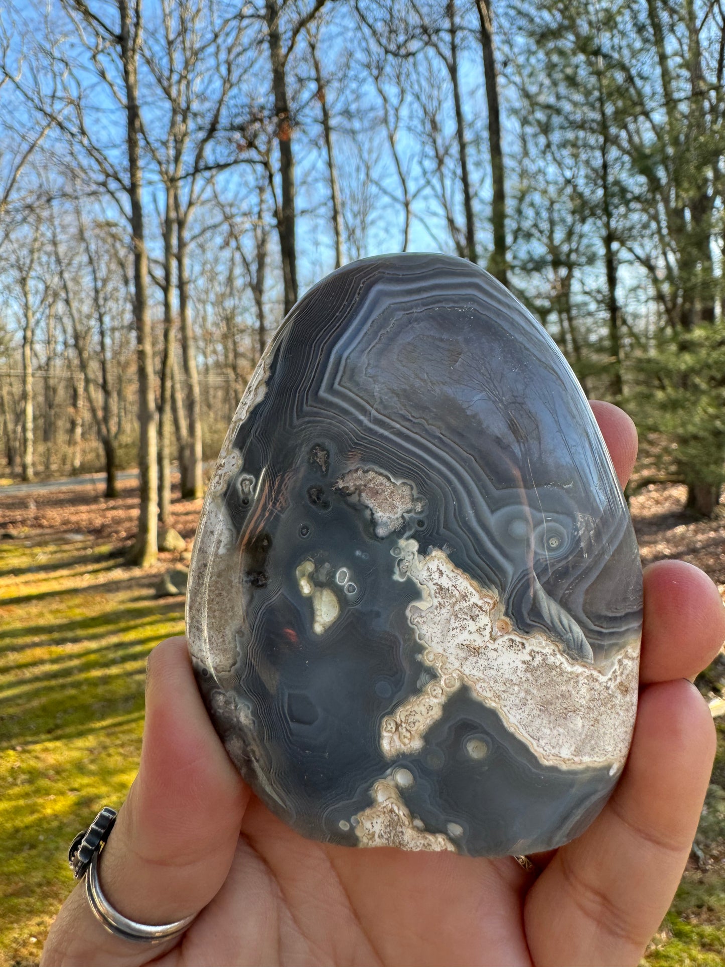 Orca agate Freeform