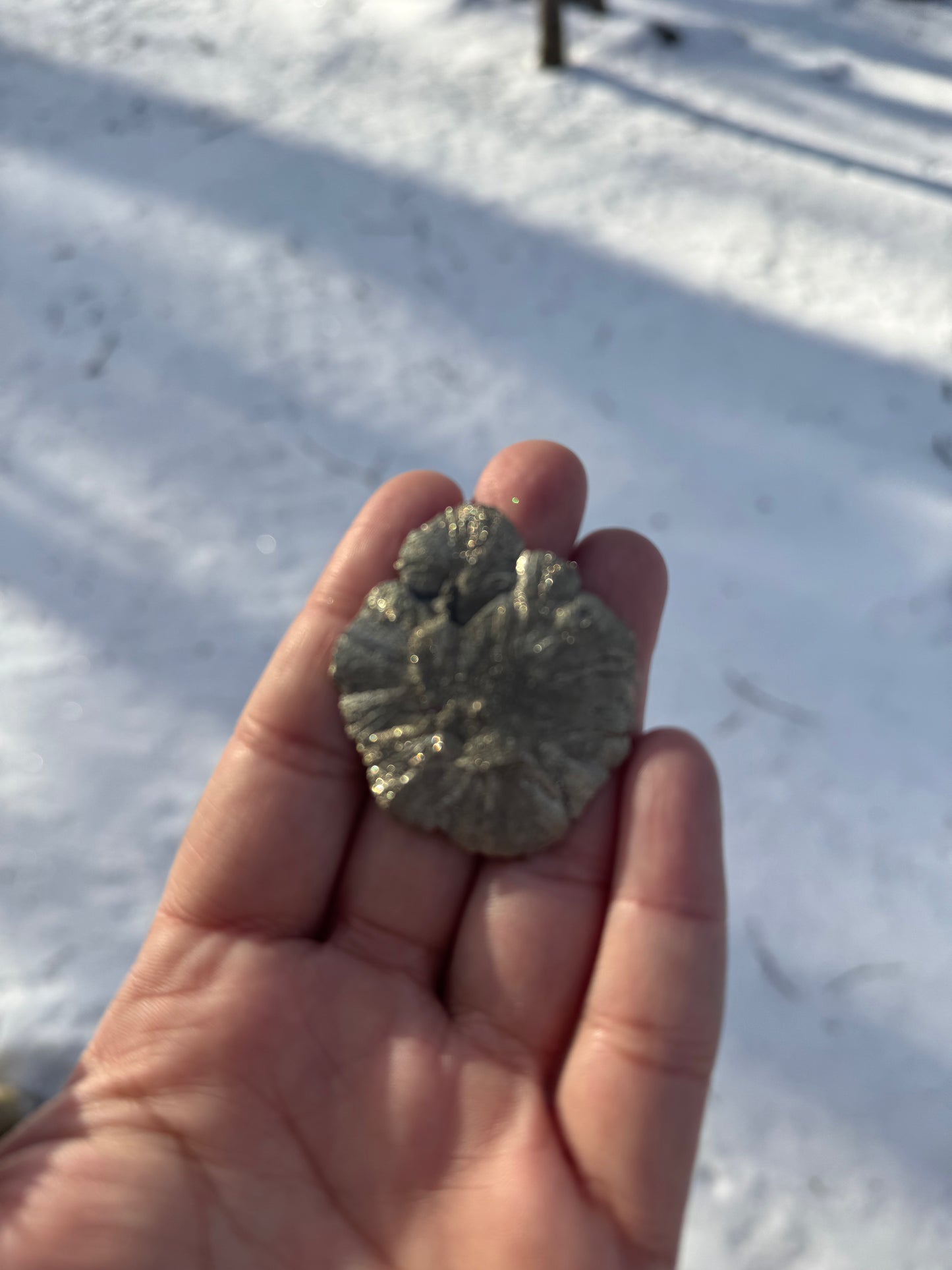 Pyrite Sun