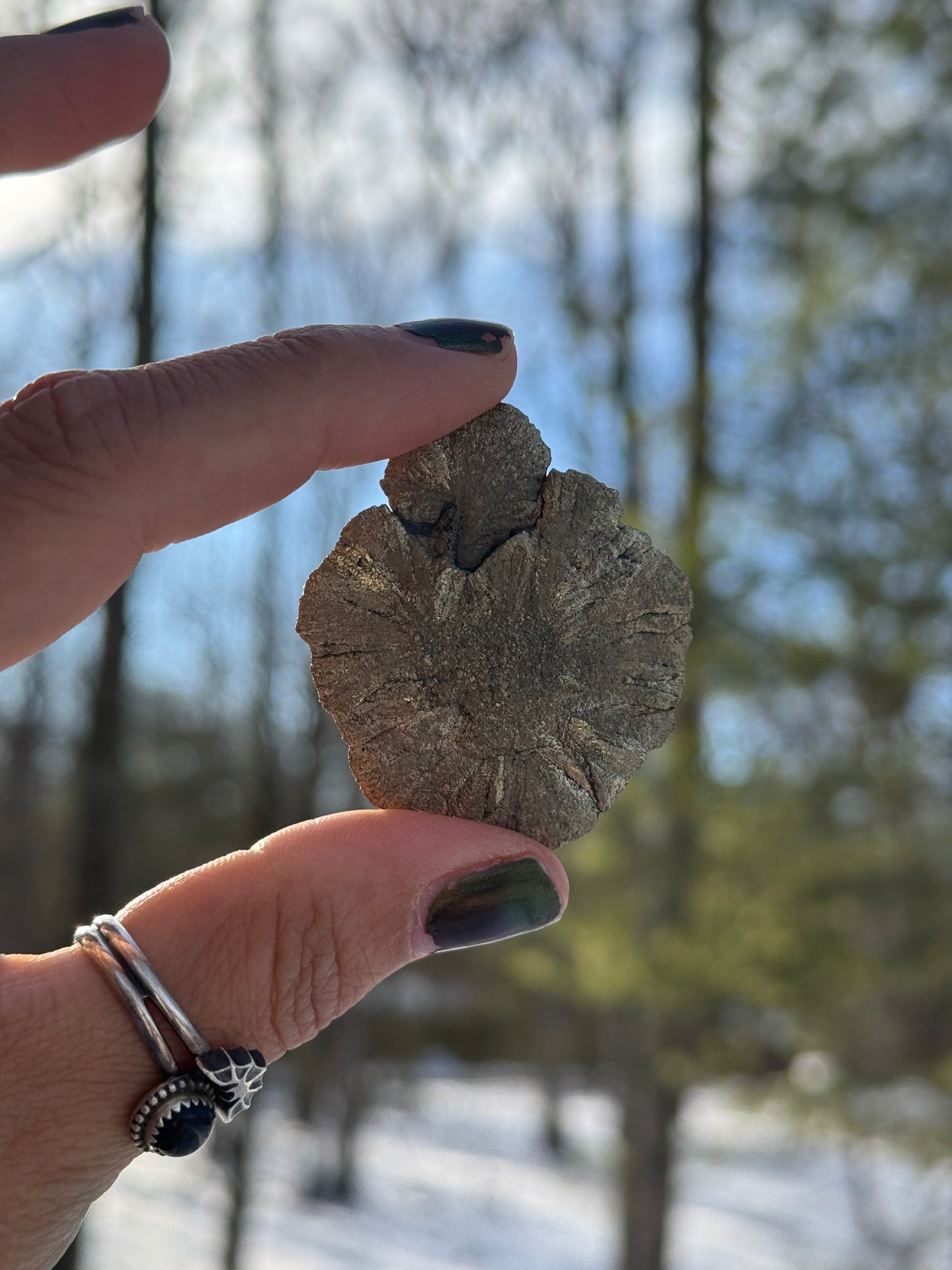 Pyrite Sun