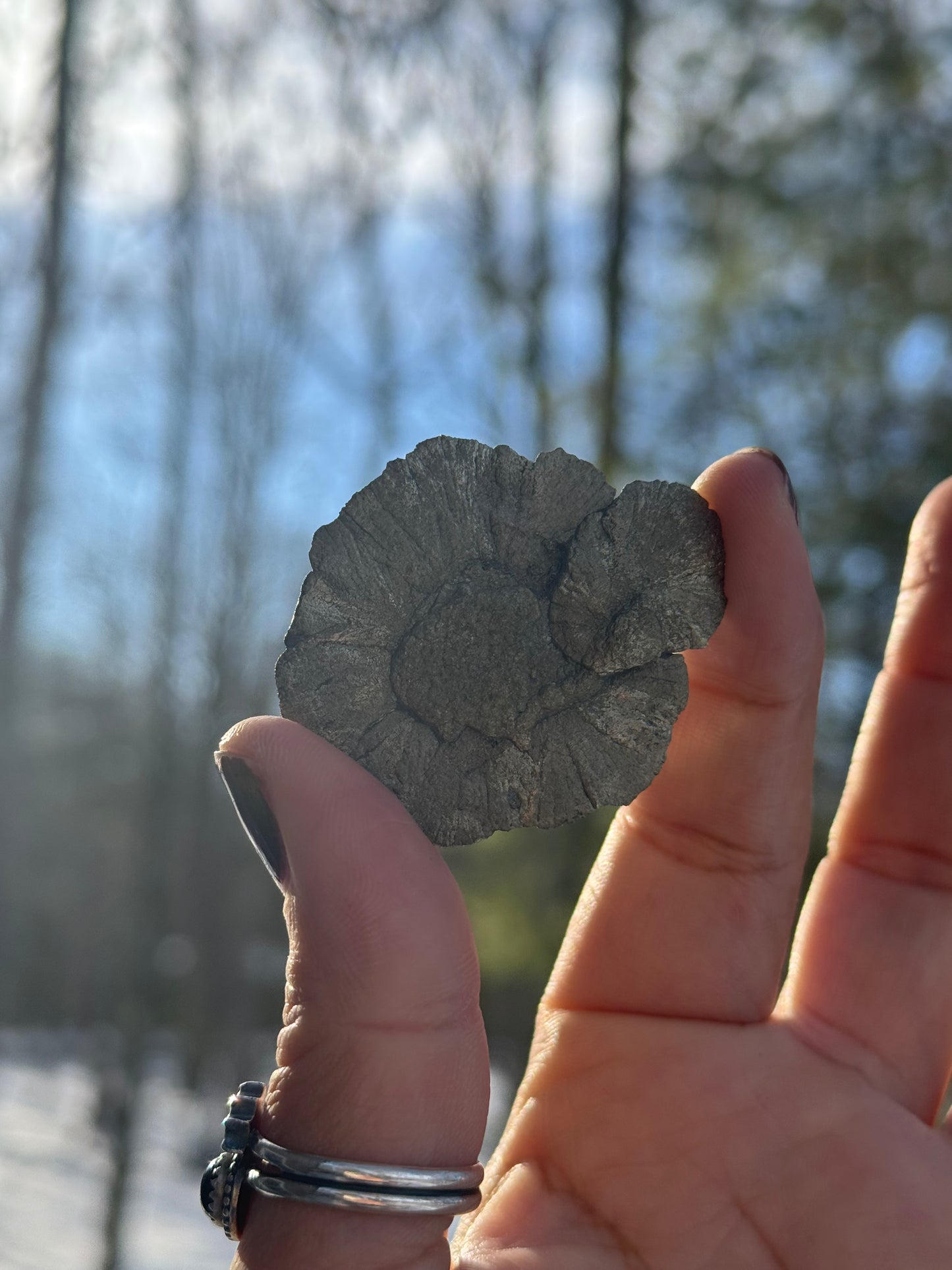 Pyrite Sun