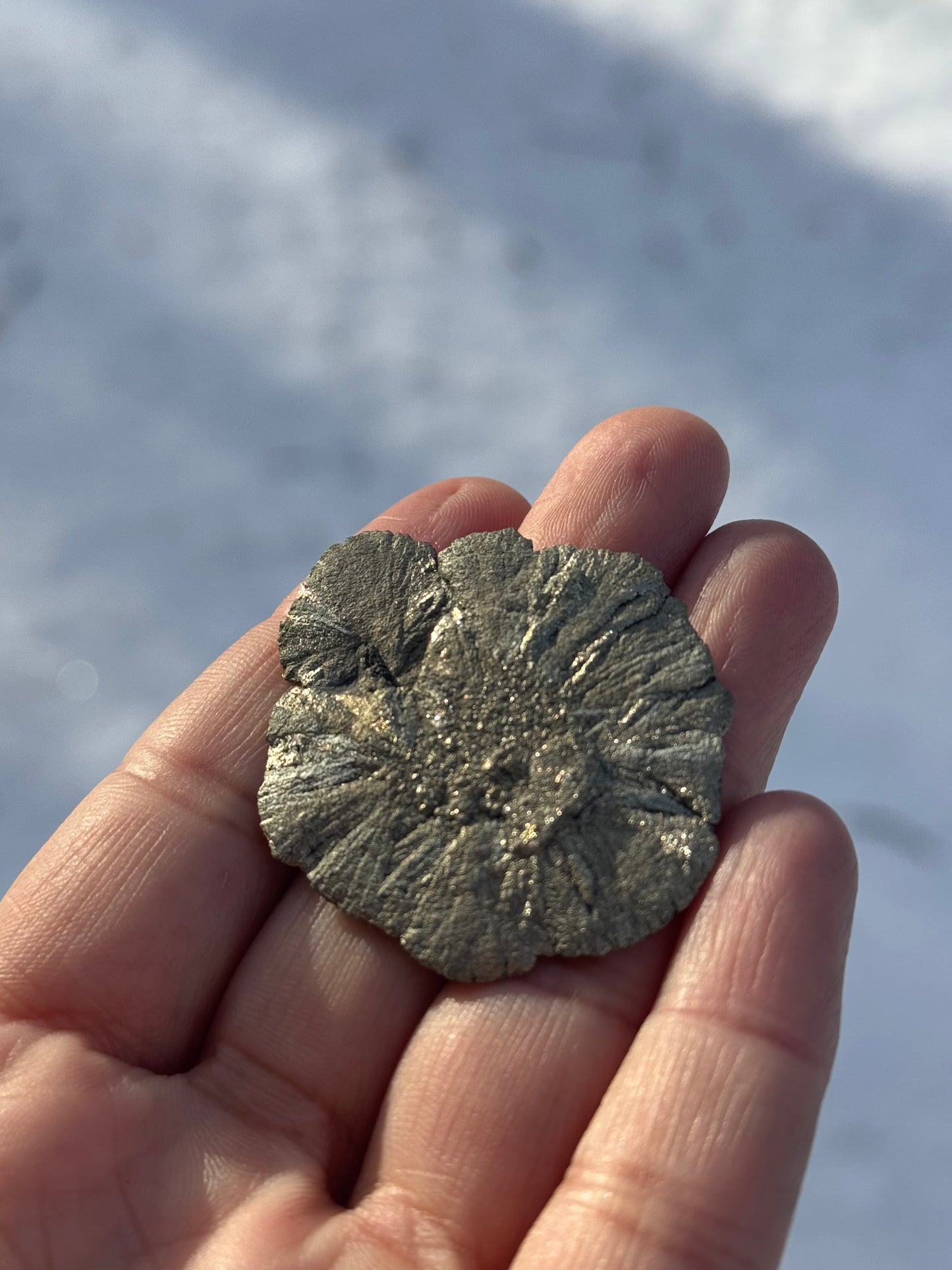 Pyrite Sun