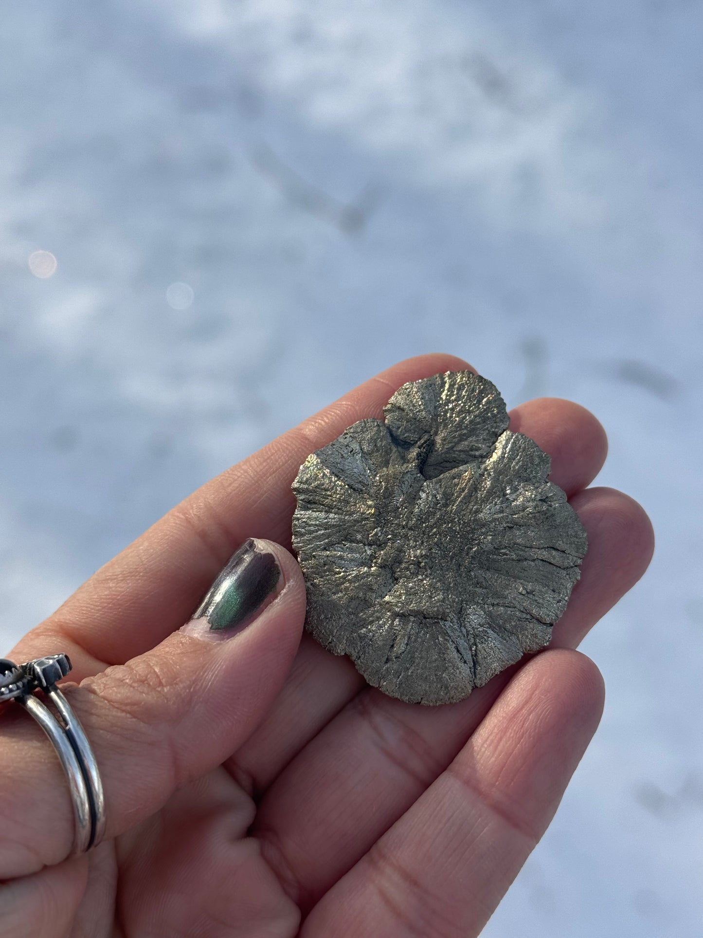 Pyrite Sun