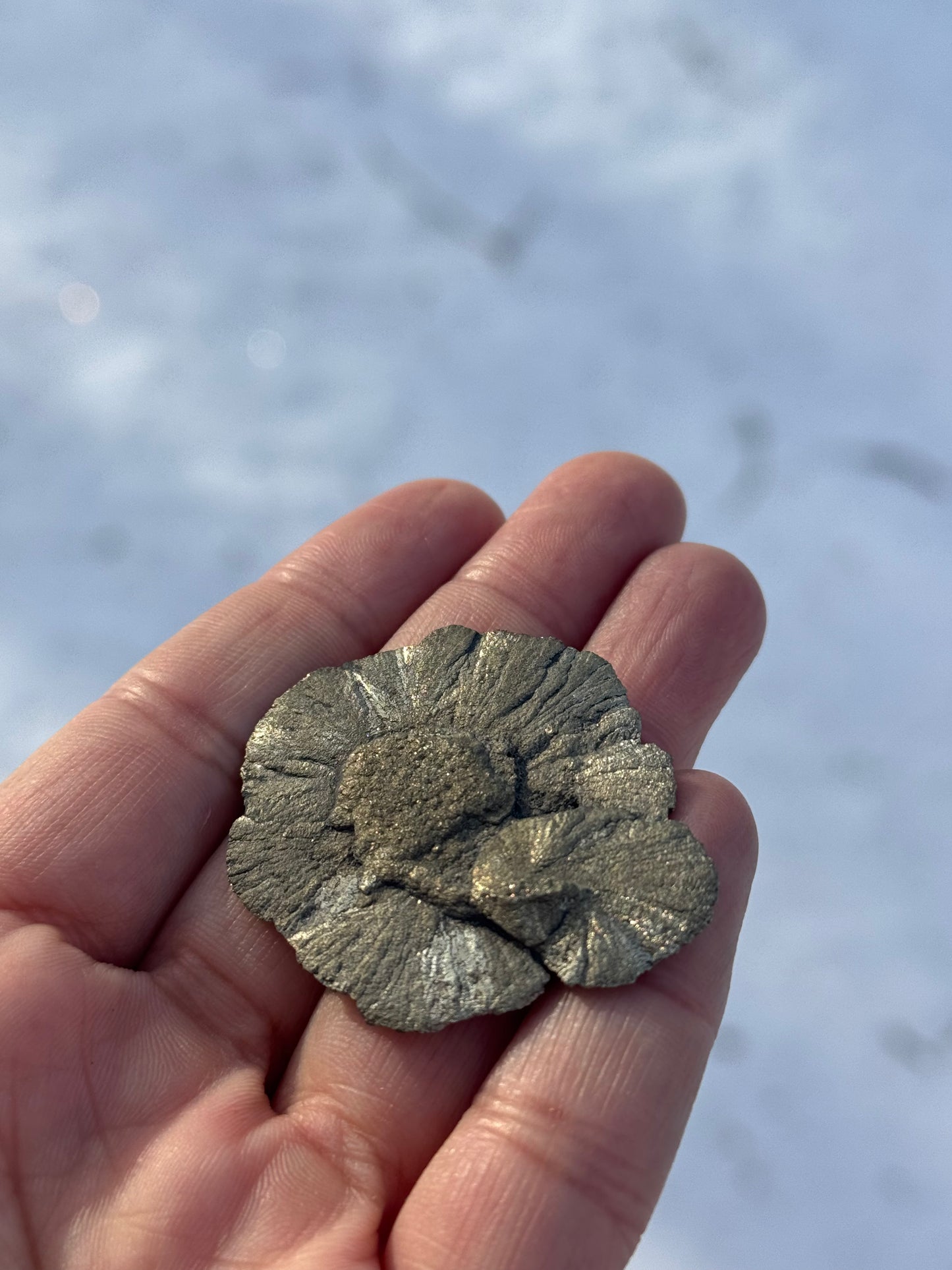 Pyrite Sun