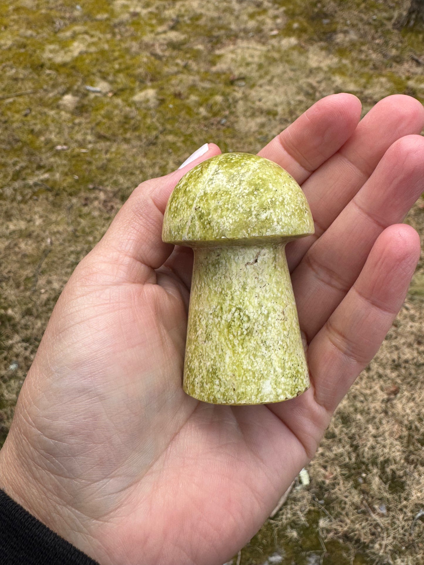 Idocrase mushroom