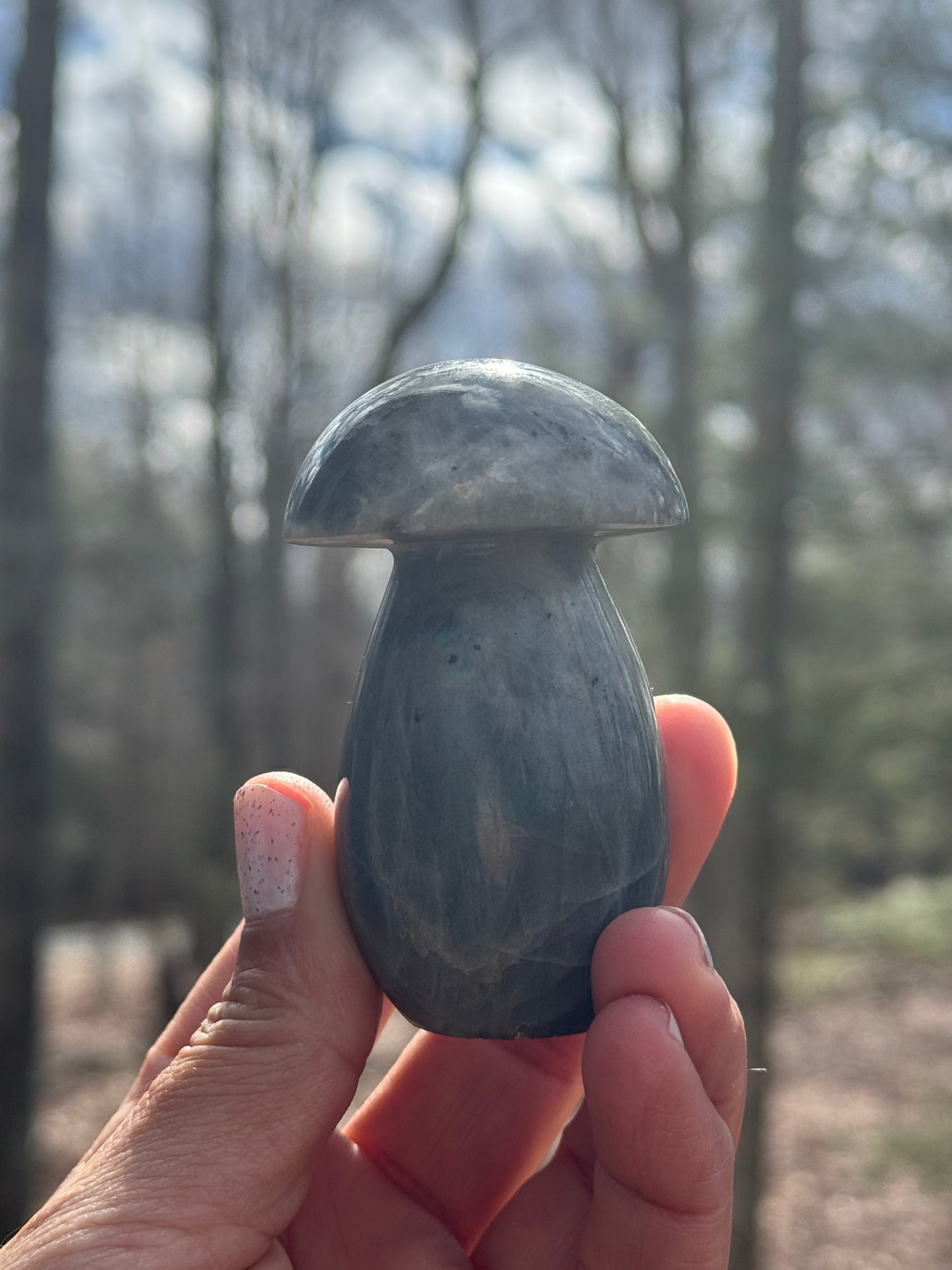 Labradorite mushroom carving