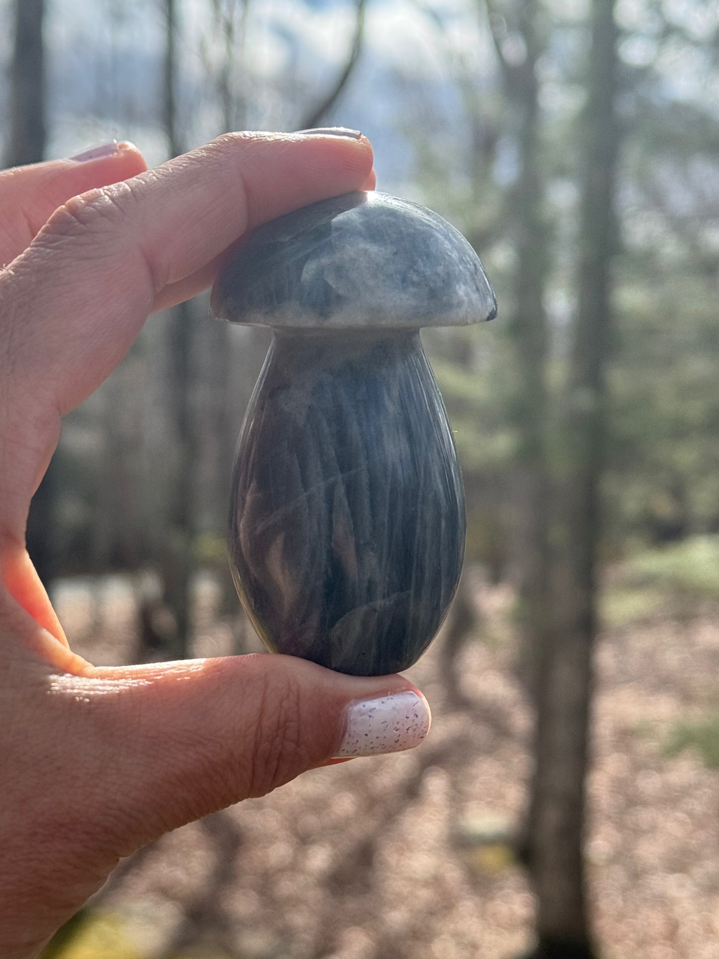 Labradorite mushroom carving