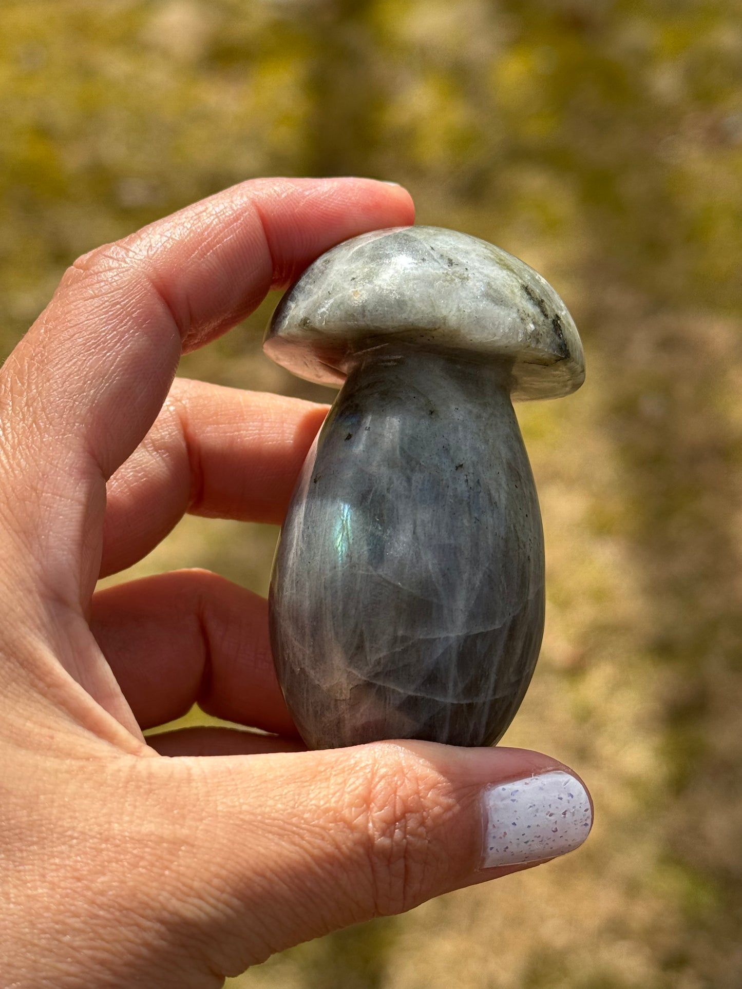 Labradorite mushroom carving