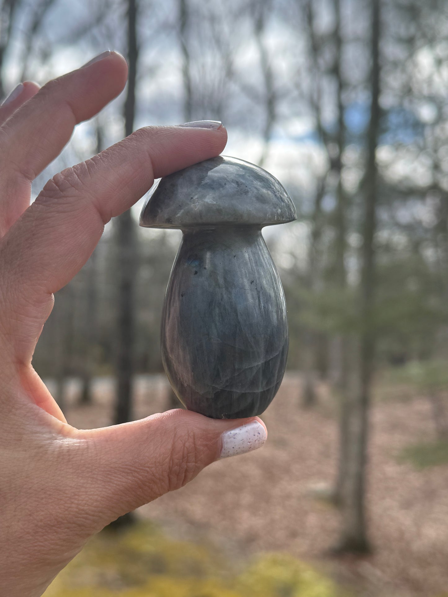 Labradorite mushroom carving