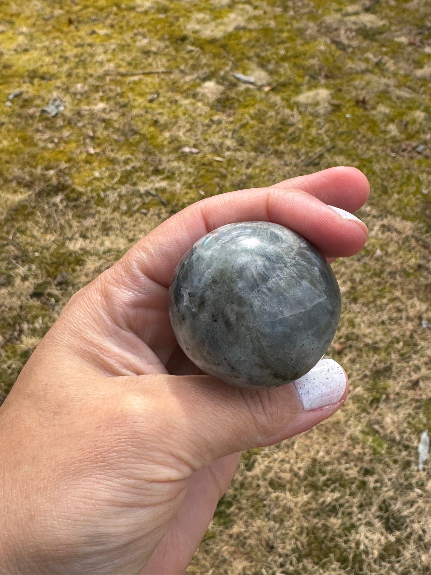 Labradorite mushroom carving