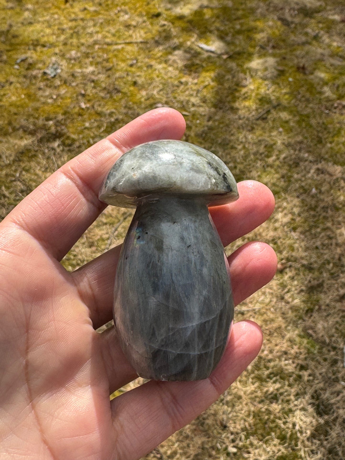 Labradorite mushroom carving