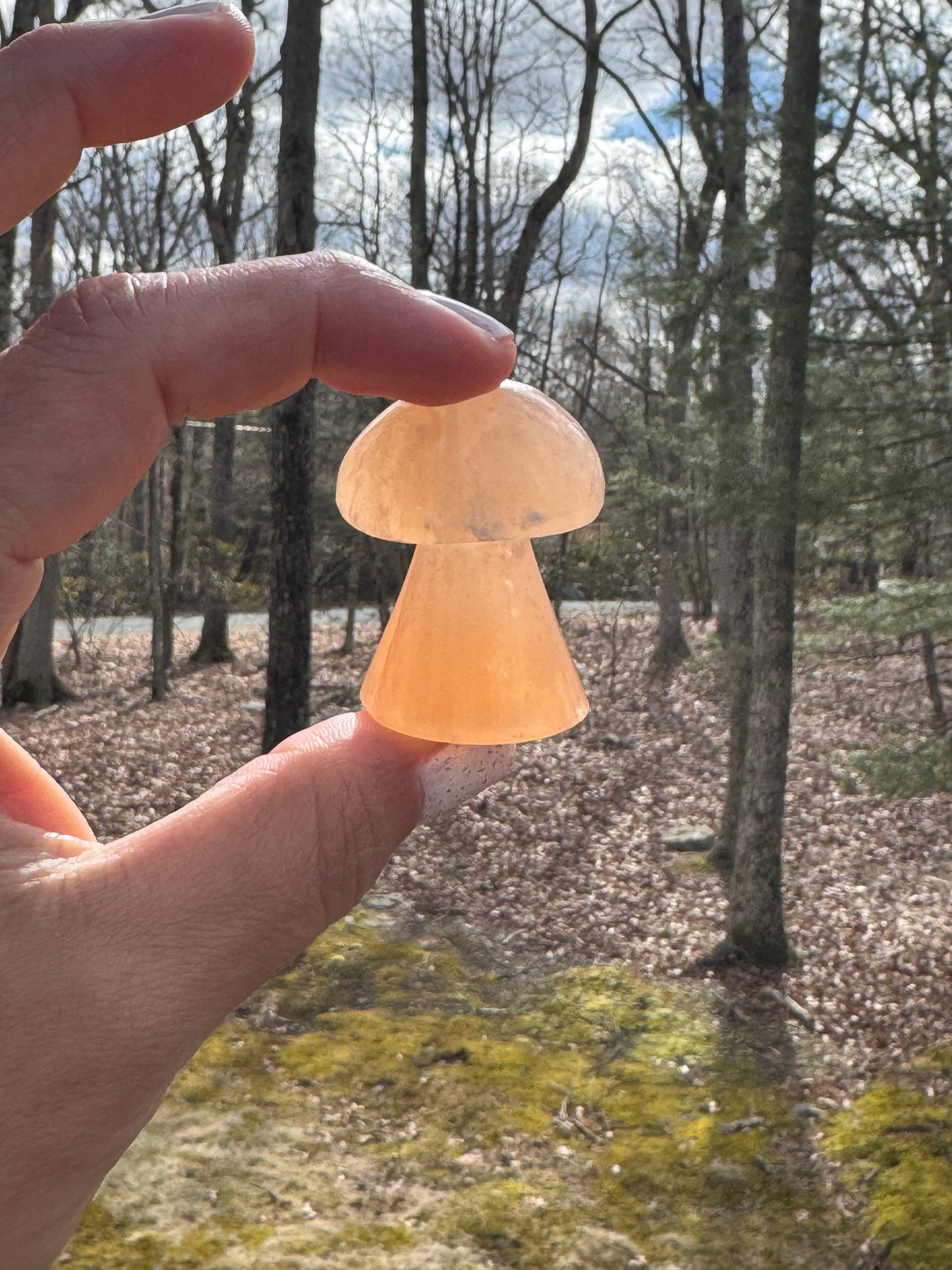 Orange selenite mushroom