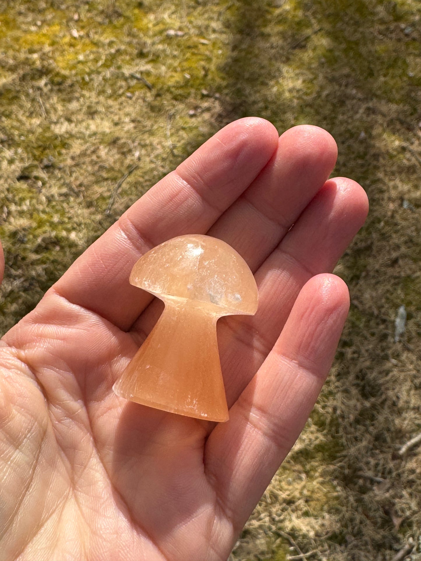 Orange selenite mushroom