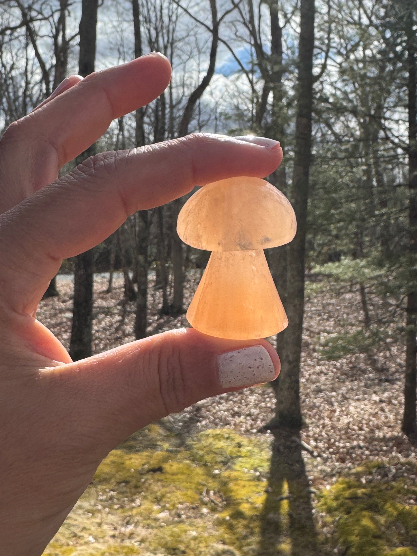 Orange selenite mushroom