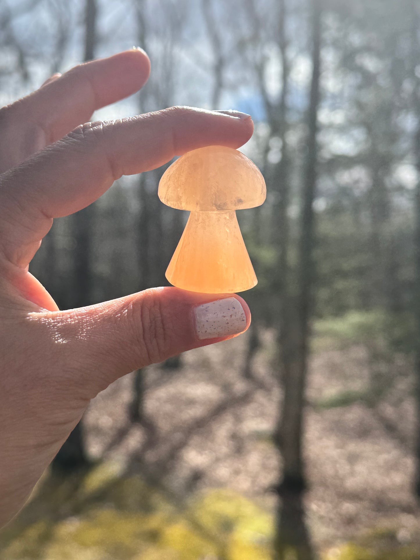 Orange selenite mushroom