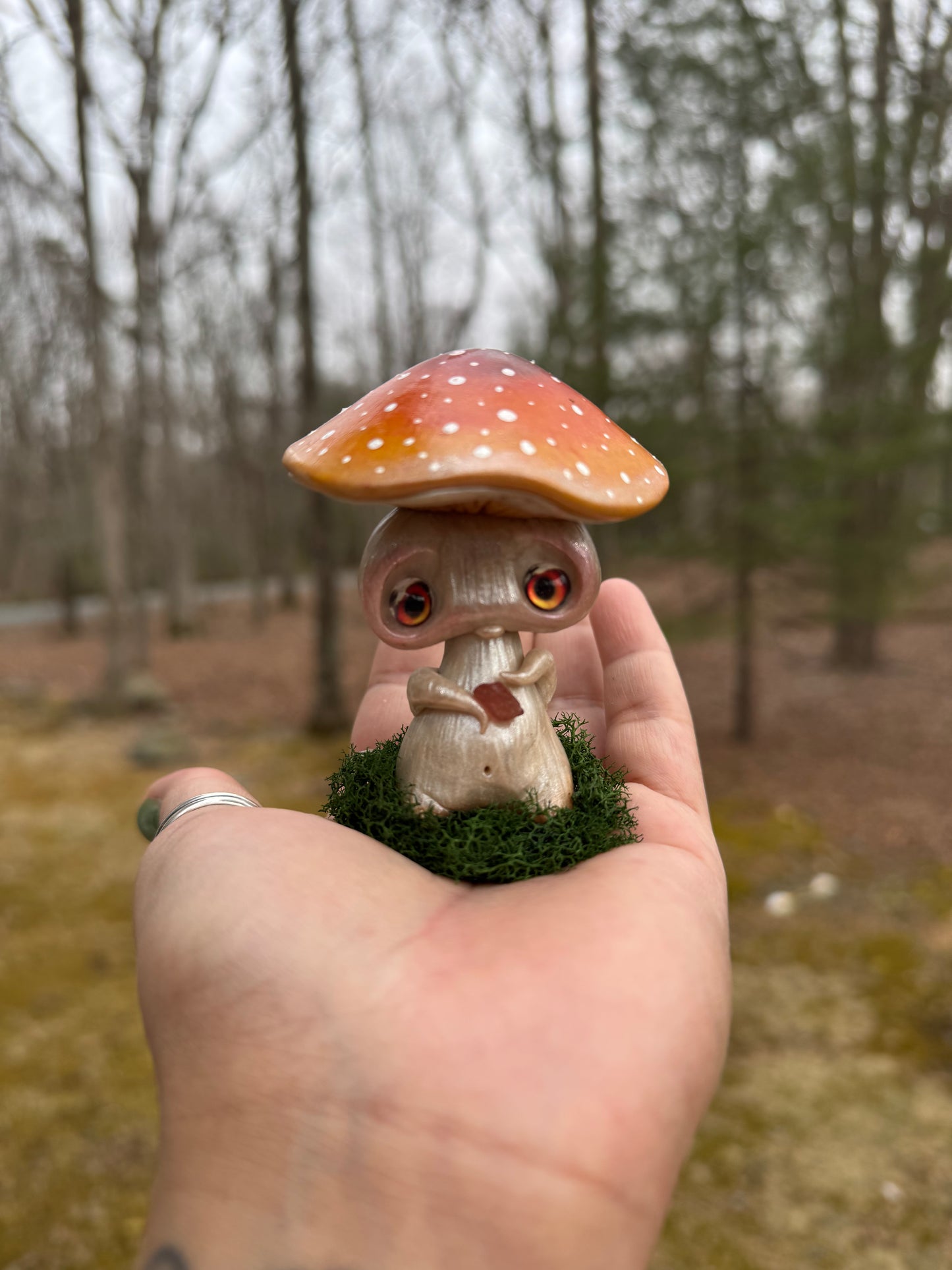 Meep the mushie
