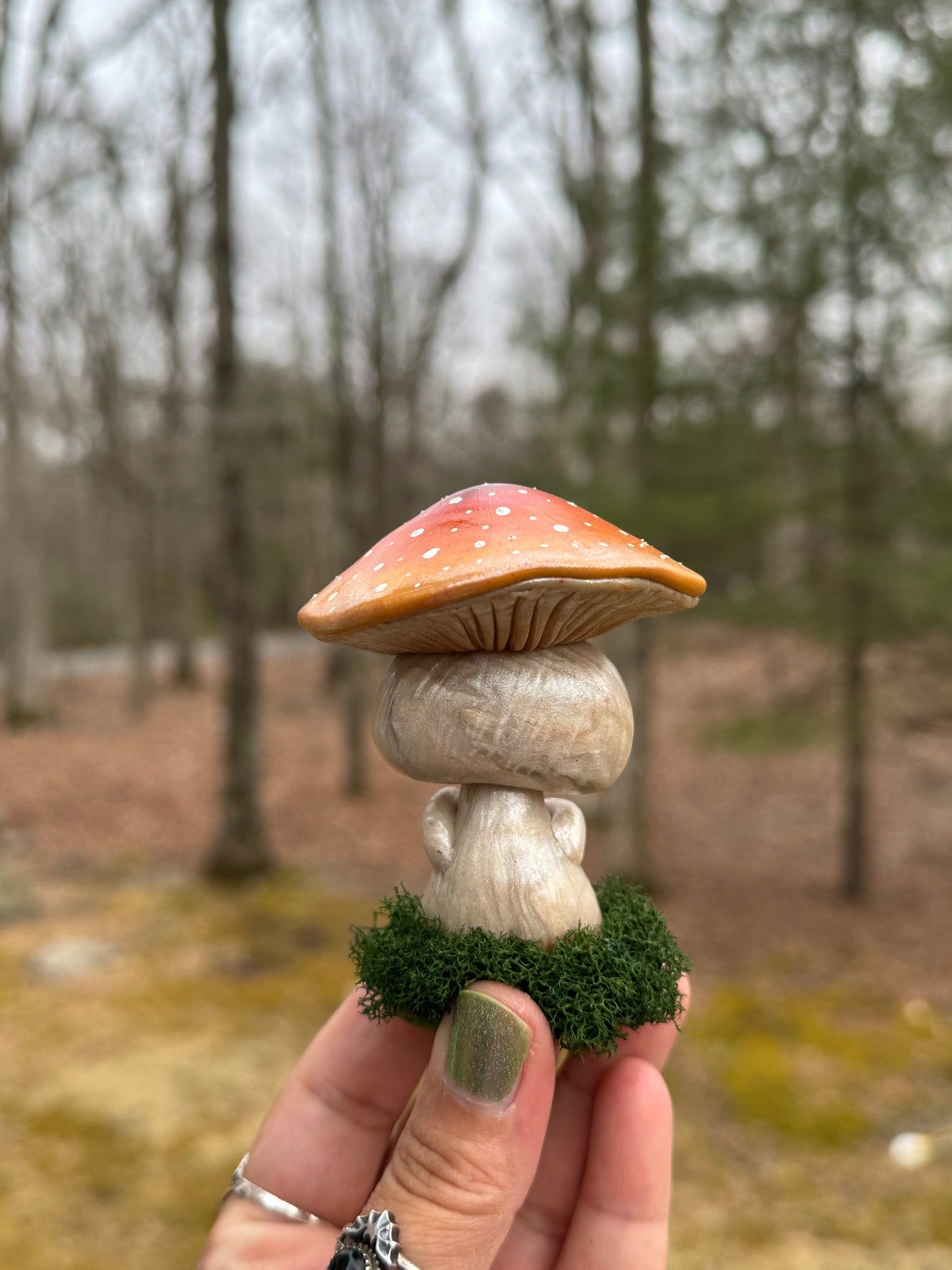 Meep the mushie