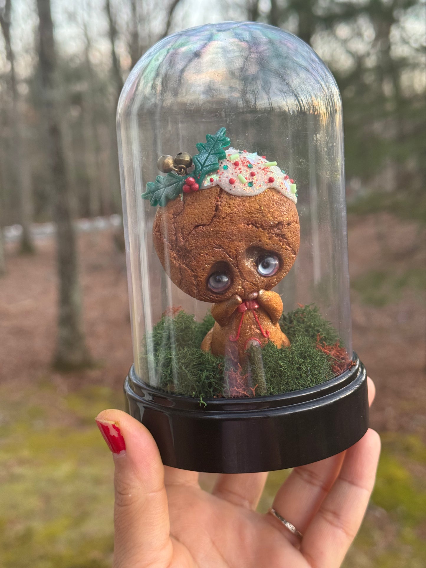 Sprinkle The Dipped holiday cookie