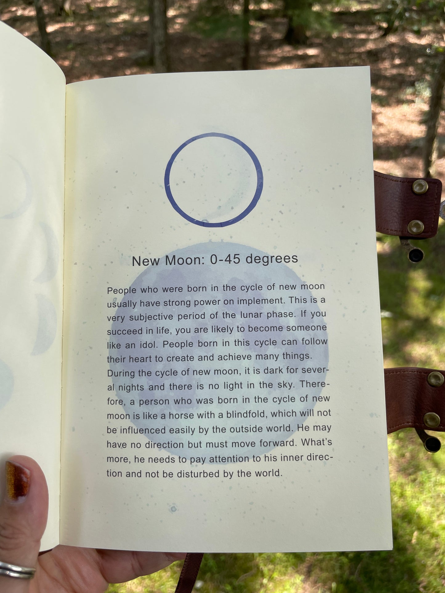 Labradorite moon goddess journal