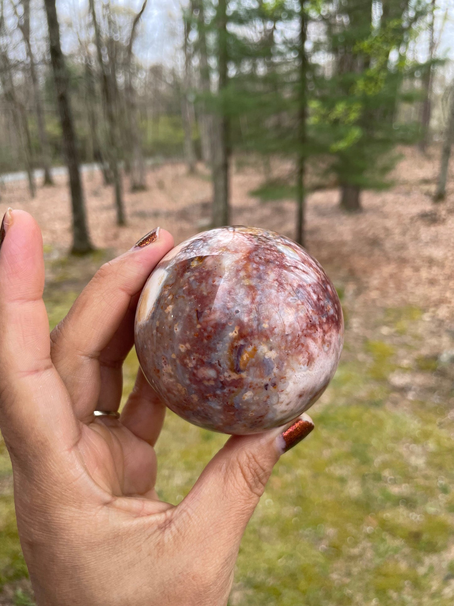 High quality Petrified wood sphere