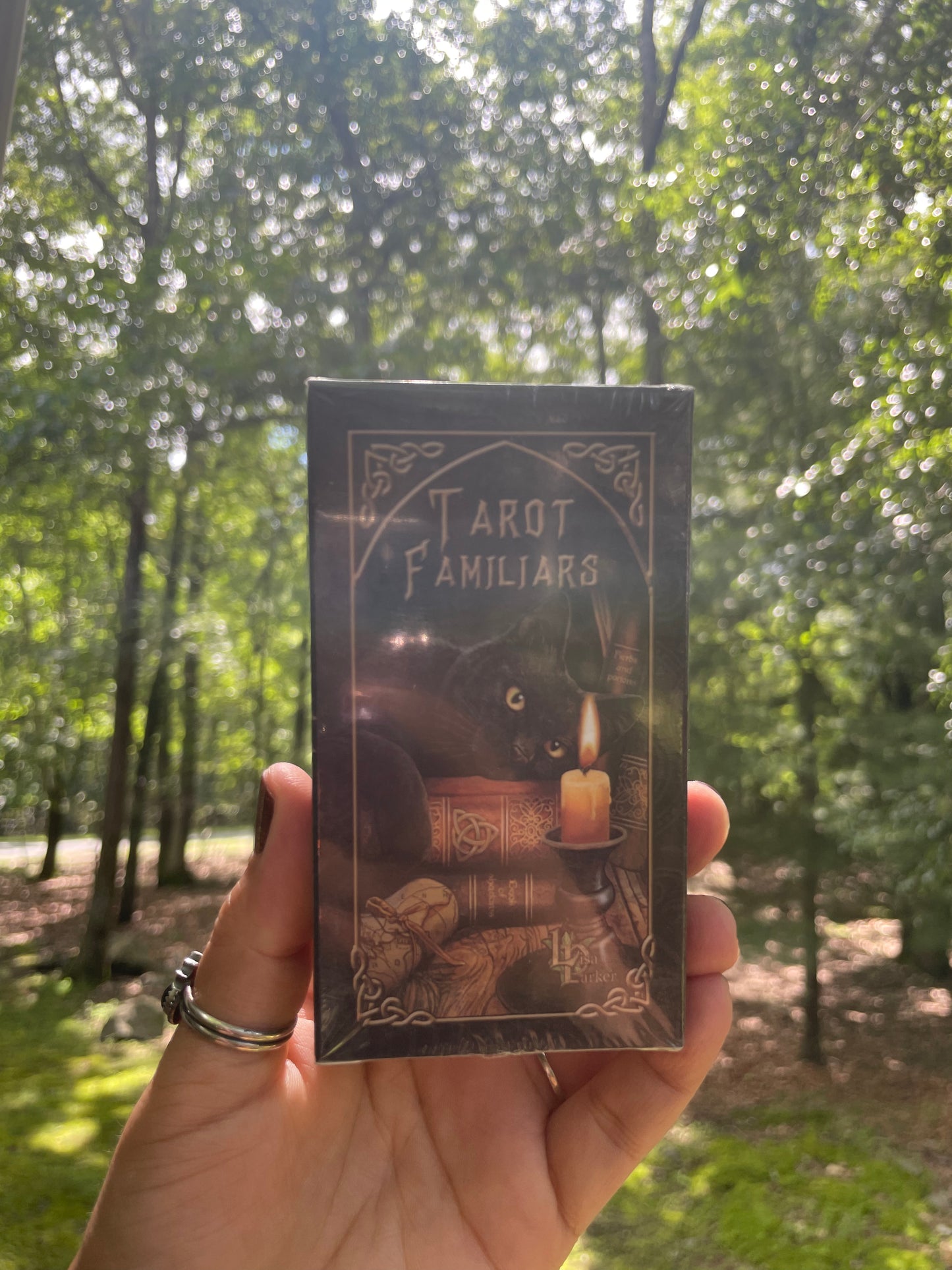 Tarot familiars mini deck with digital guidebook