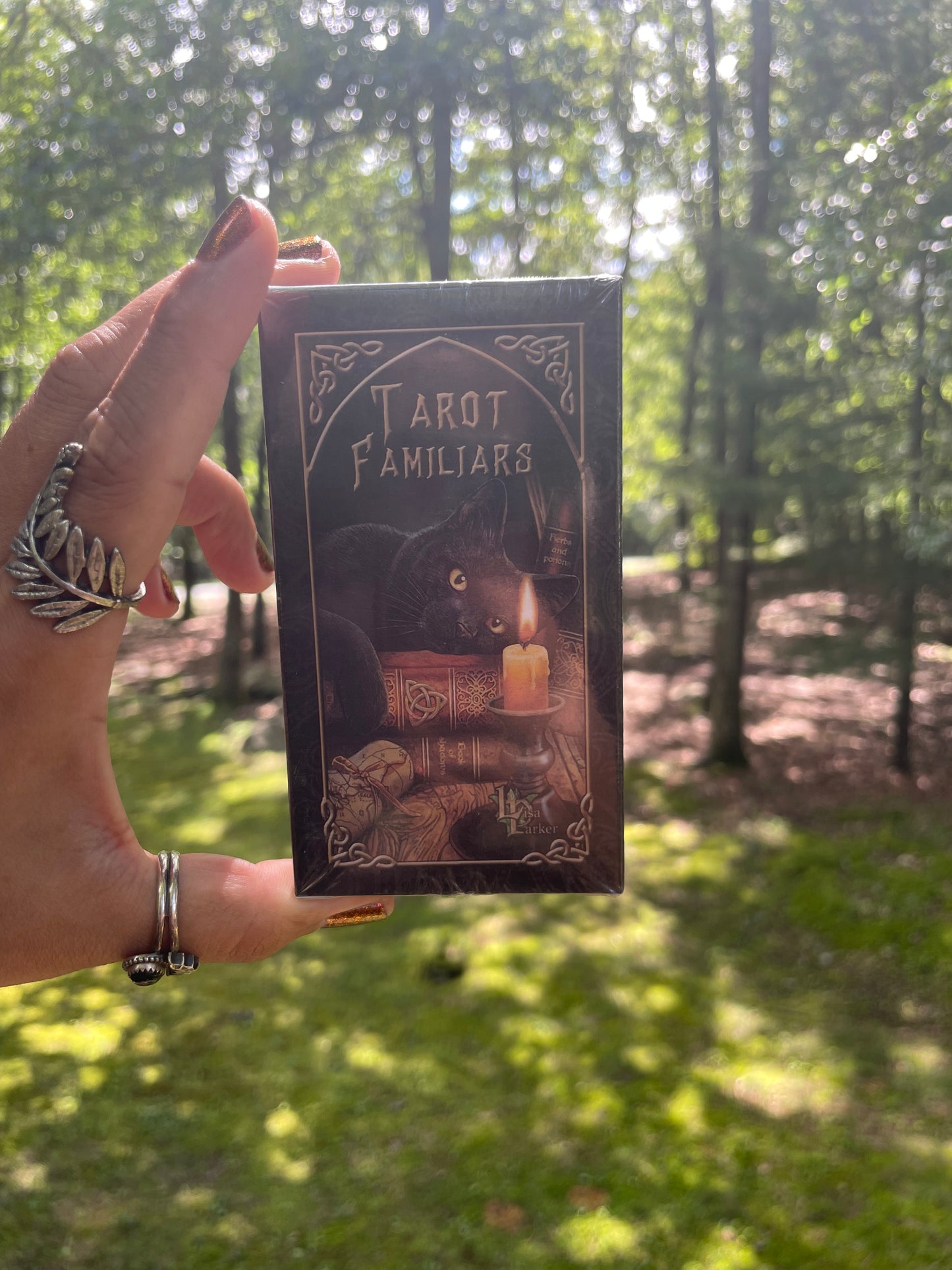 Tarot familiars mini deck with digital guidebook