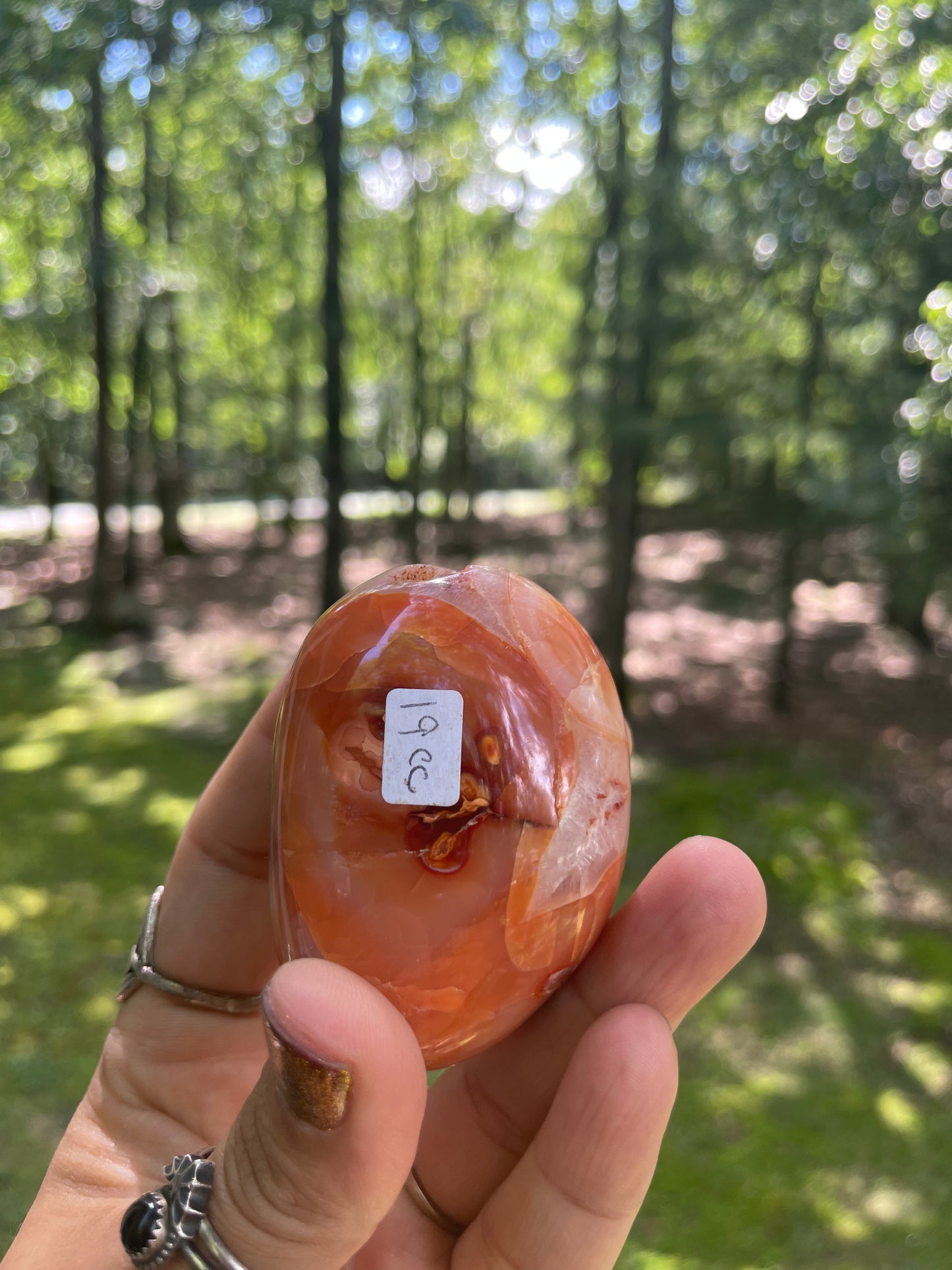 Carnelian palm