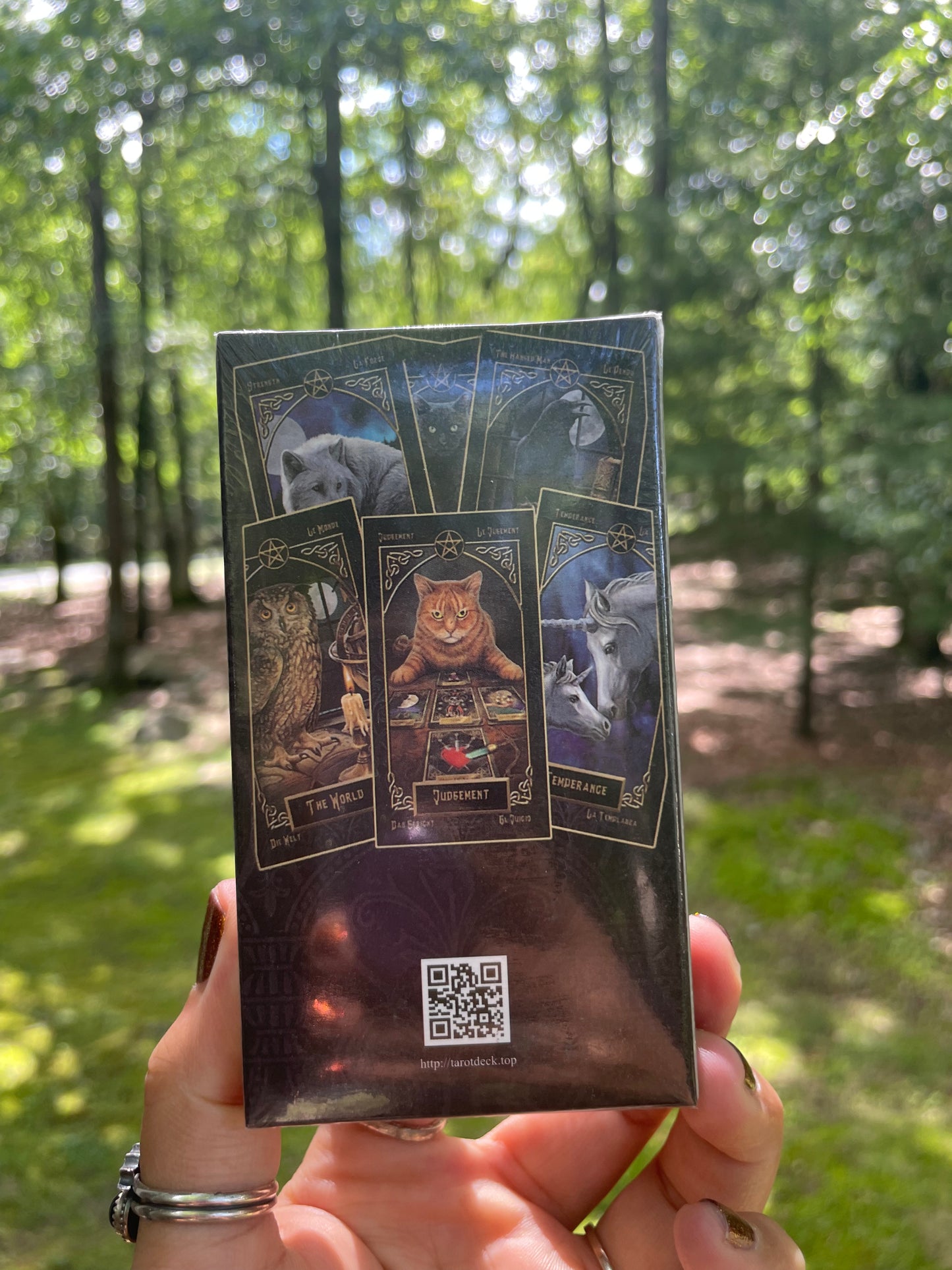 Tarot familiars mini deck with digital guidebook