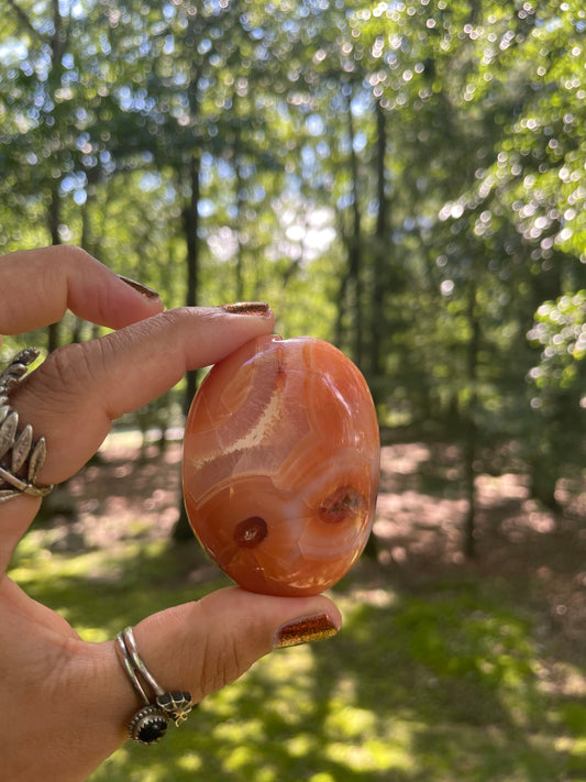 Carnelian palm