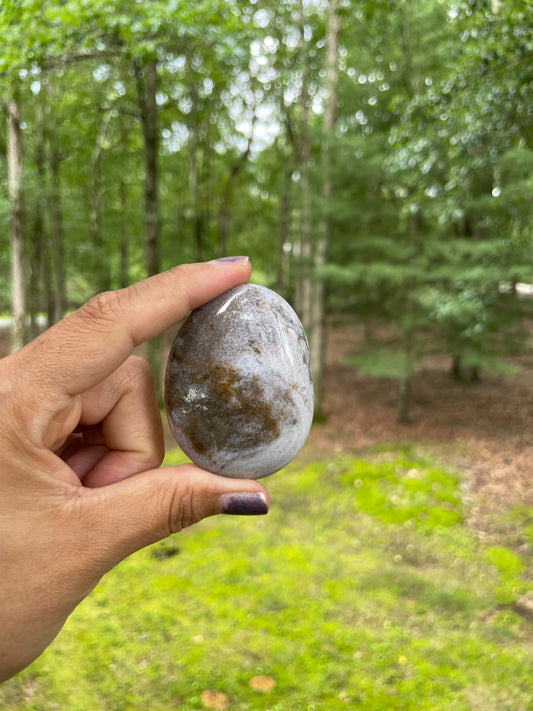 White ocean jasper palm