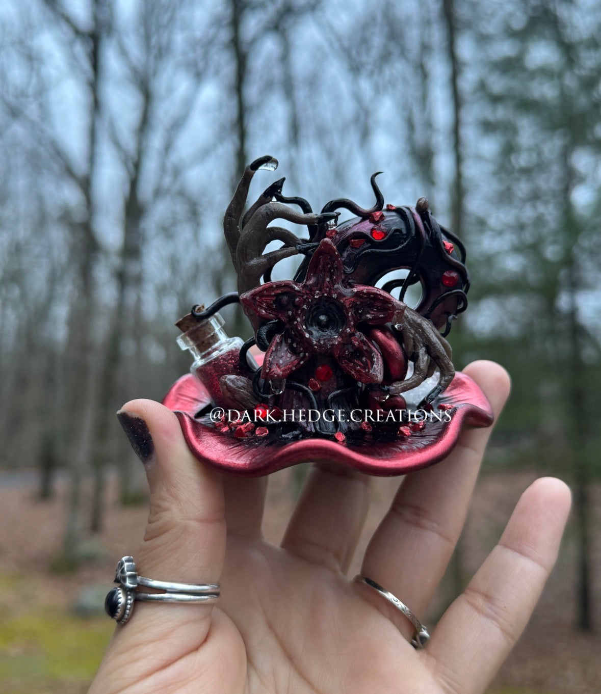 Kimberly live sale claims