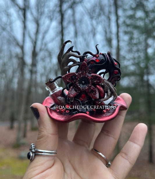 Kimberly live sale claims