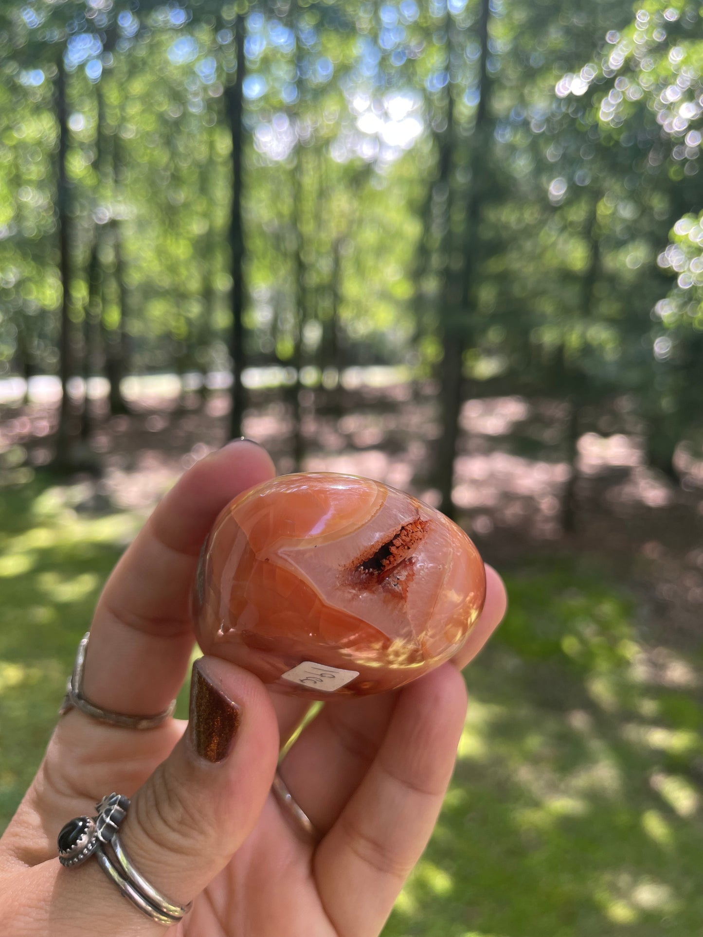 Carnelian palm