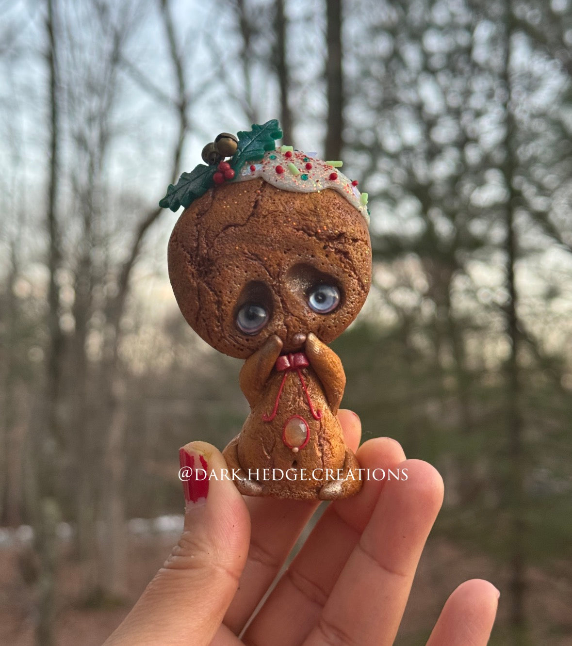 Sprinkle The Dipped holiday cookie