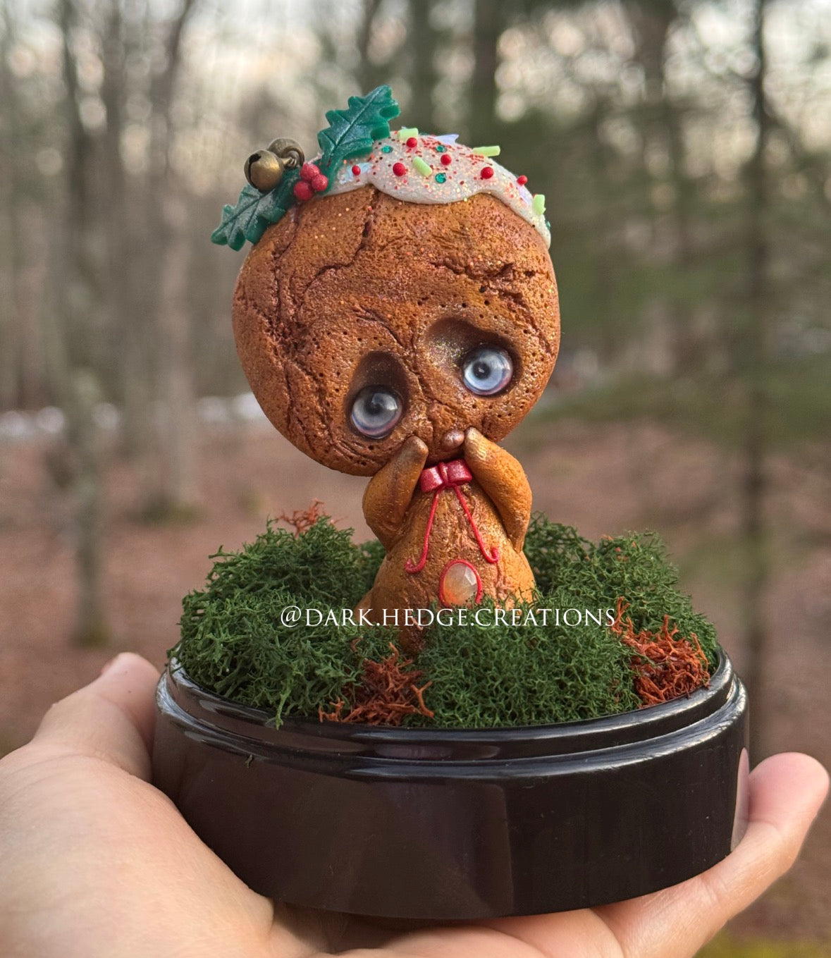 Sprinkle The Dipped holiday cookie