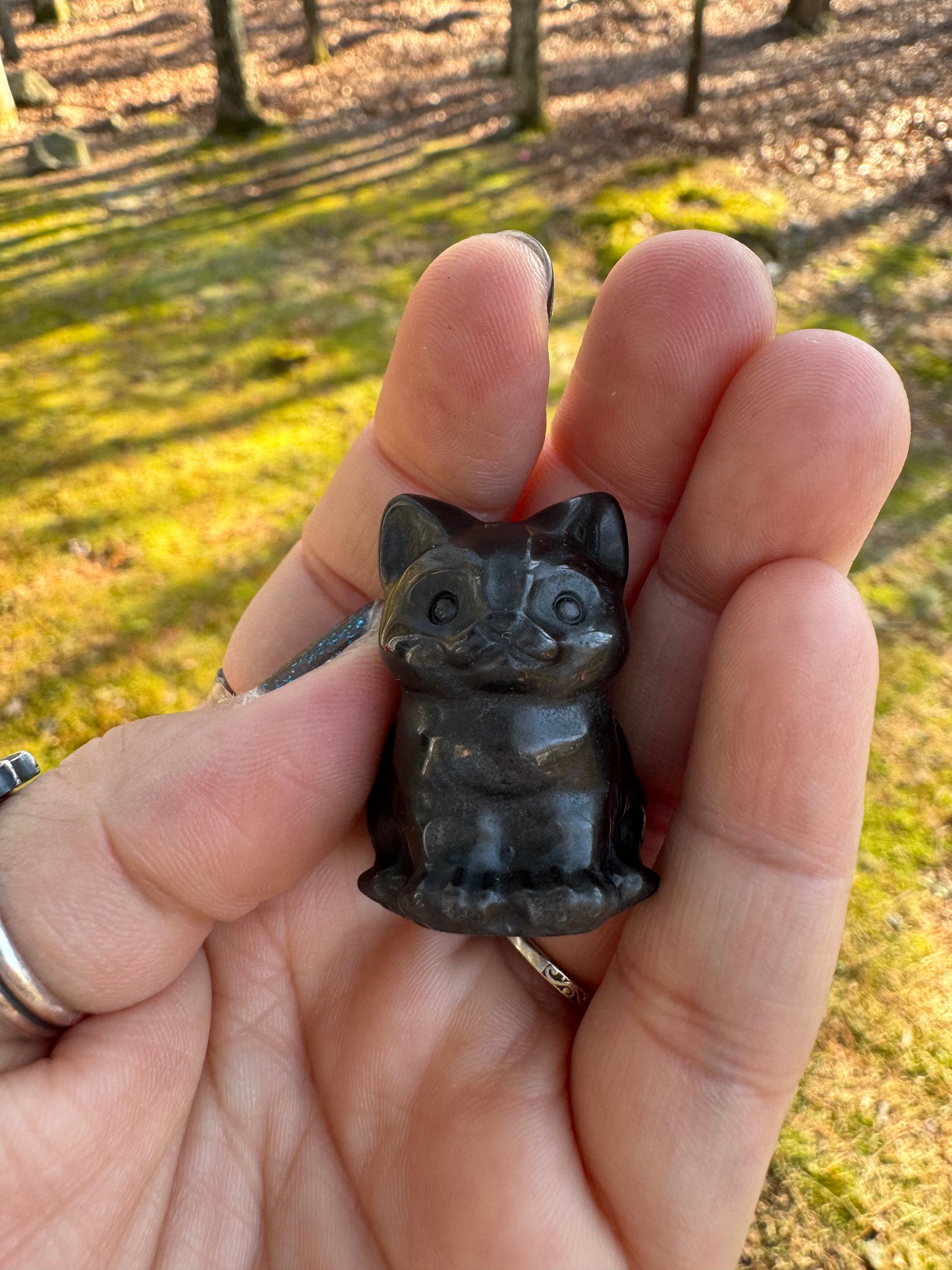 Silver sheen obsidian kitty carving