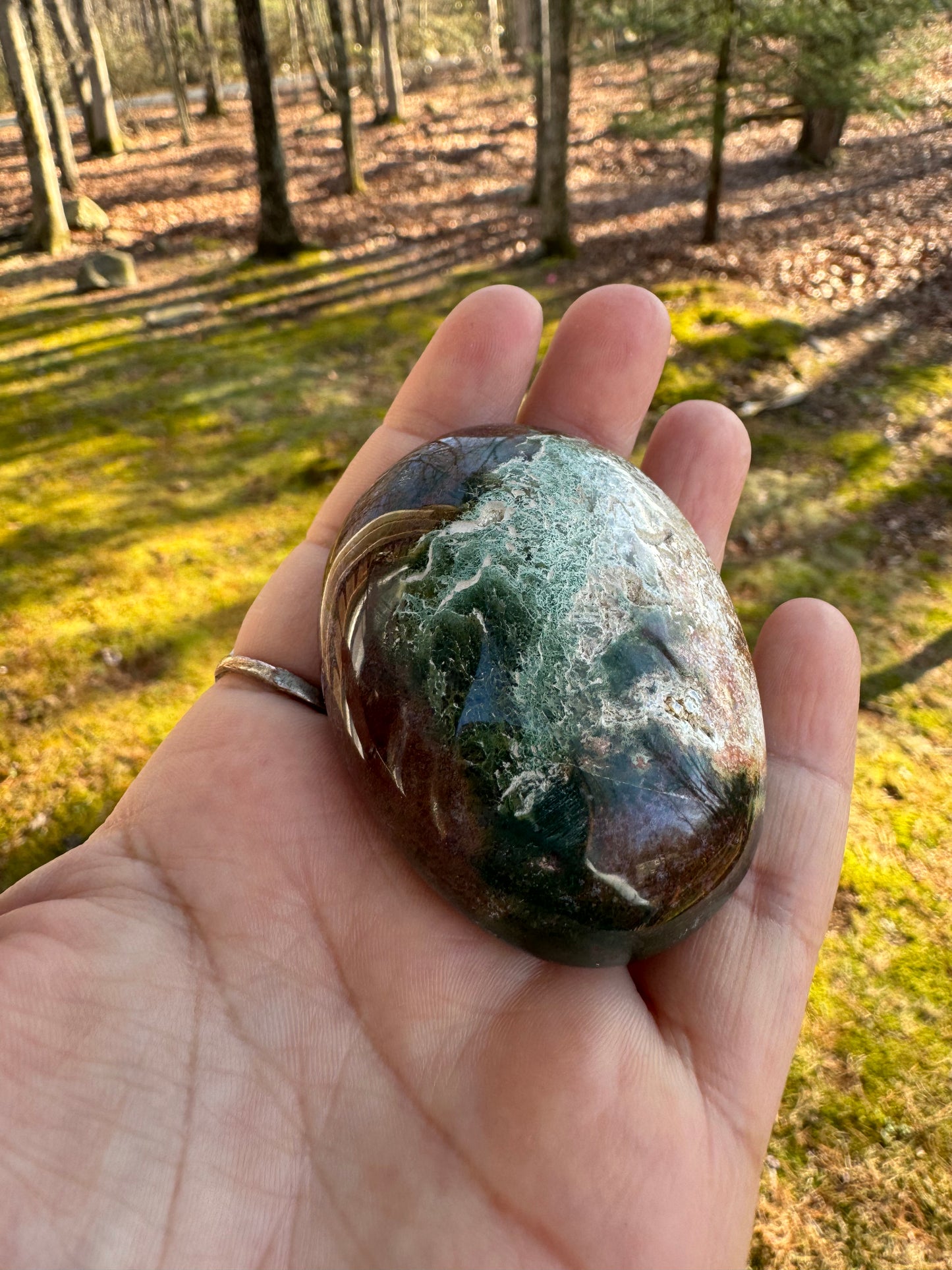 Ocean jasper palm stone